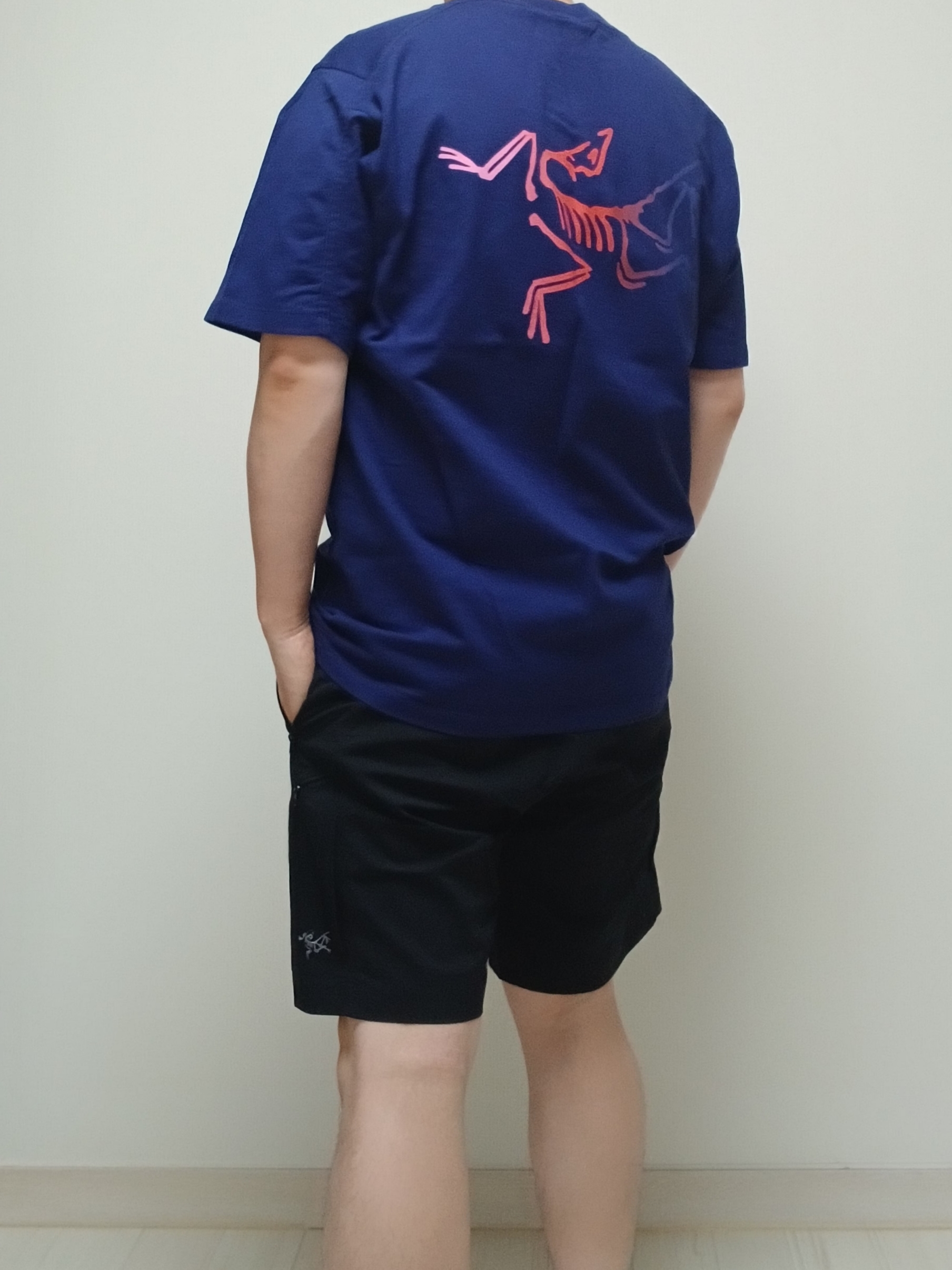 Arc'teryx Kragg Cotton Logo SS T-Shirt Soulsonic Dynasty, Arc'teryx Gamma Quick Dry Shorts 9 Inch Black 착용 스타일 - 7