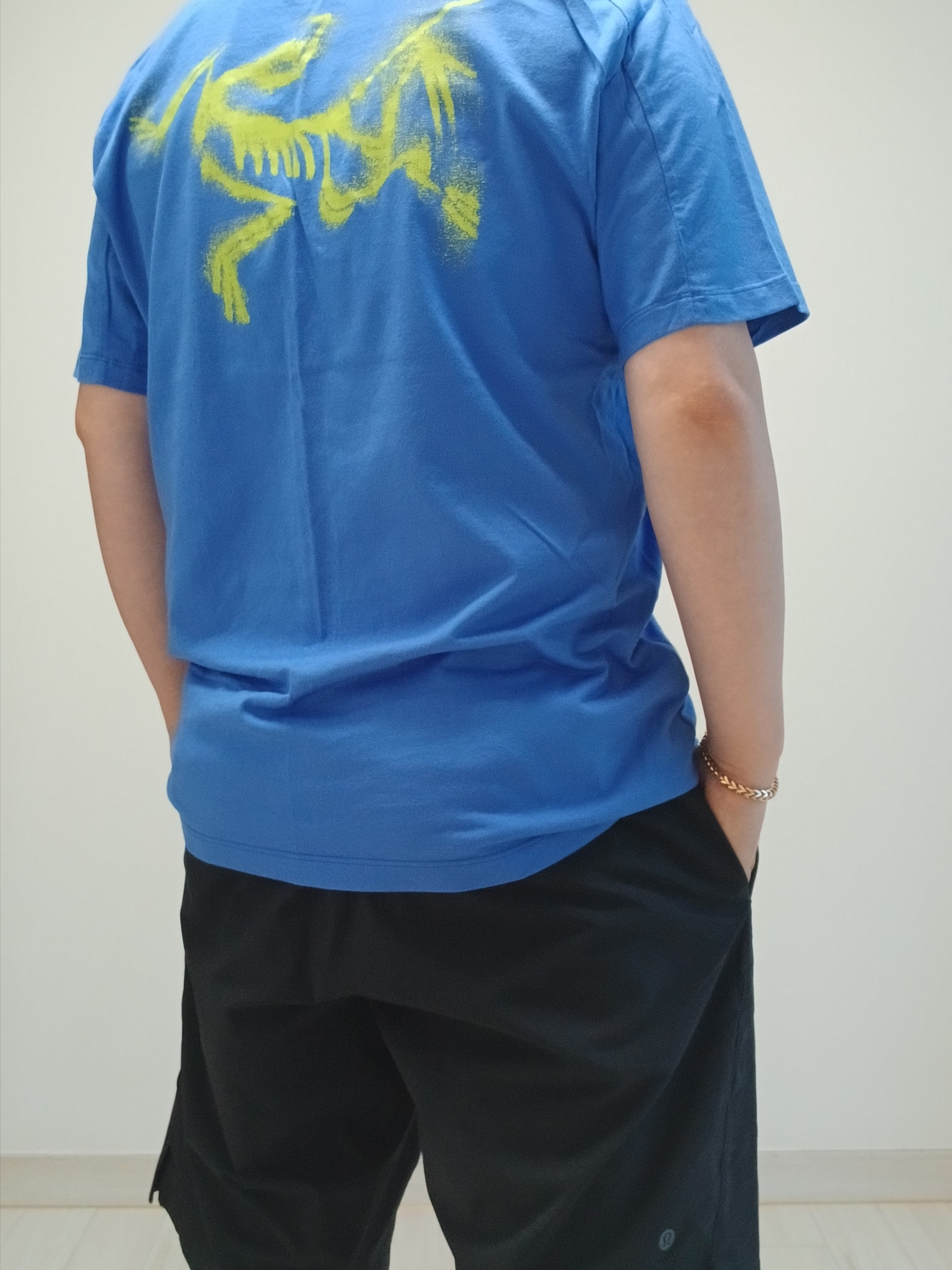 Arc'teryx Kragg SL Cotton Blurred Bird SS T-Shirt Electra Euphoria, Hoka Ora Athletic Slide Black White 착용 스타일 - 1