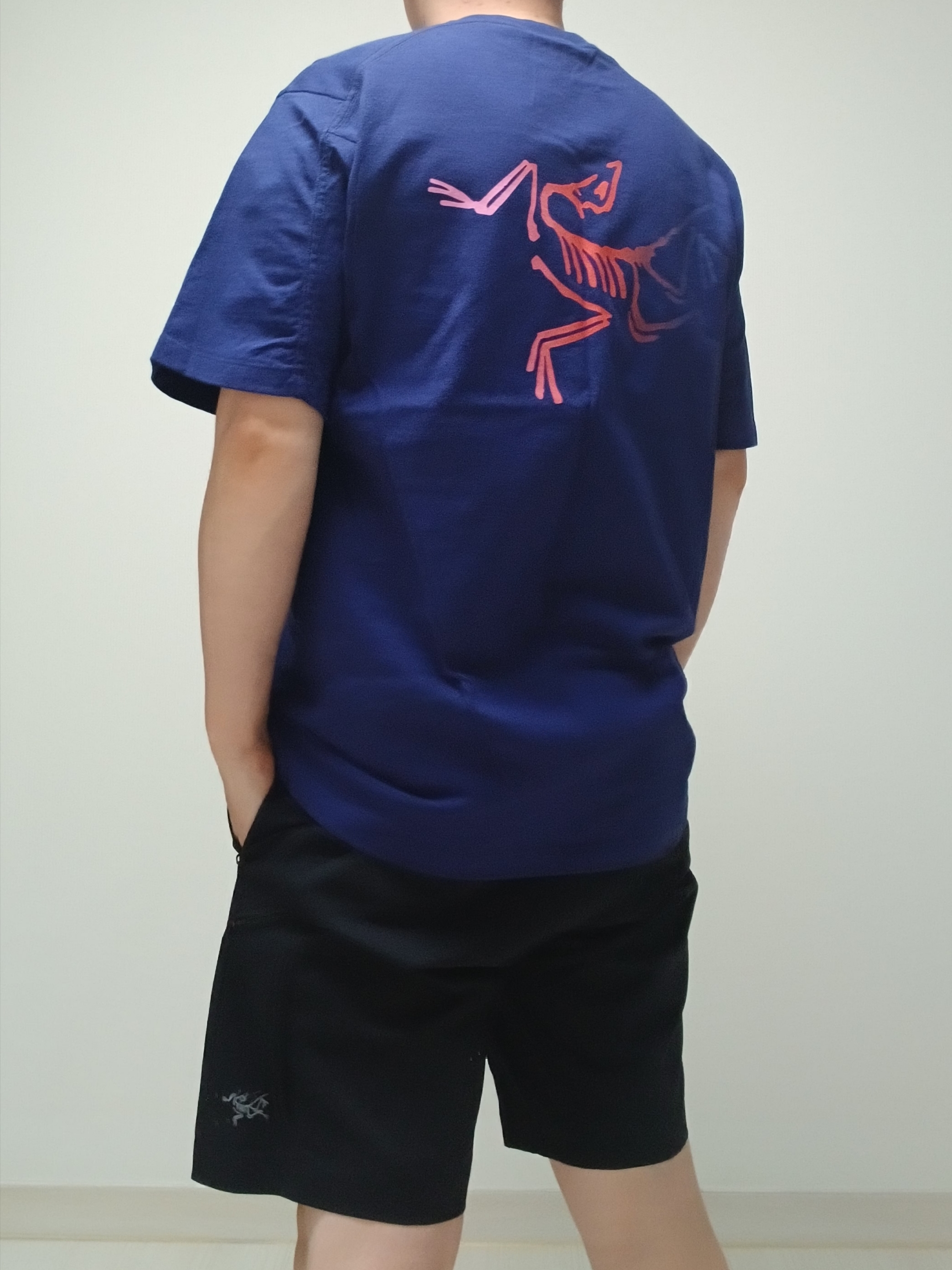 Arc'teryx Kragg Cotton Logo SS T-Shirt Soulsonic Dynasty, Arc'teryx Gamma Quick Dry Shorts 9 Inch Black 착용 스타일 - 1