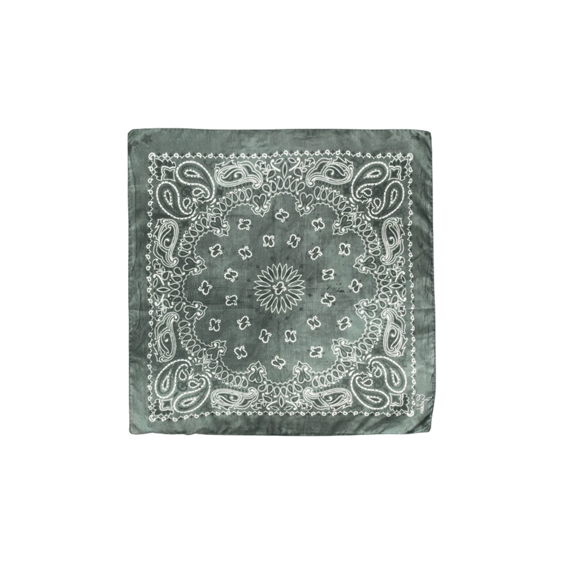 (W) 골든구스 페이즐리 패턴 스카프 모스 그린((W) Golden Goose Scarf with Paisley Pattern Moss Green)