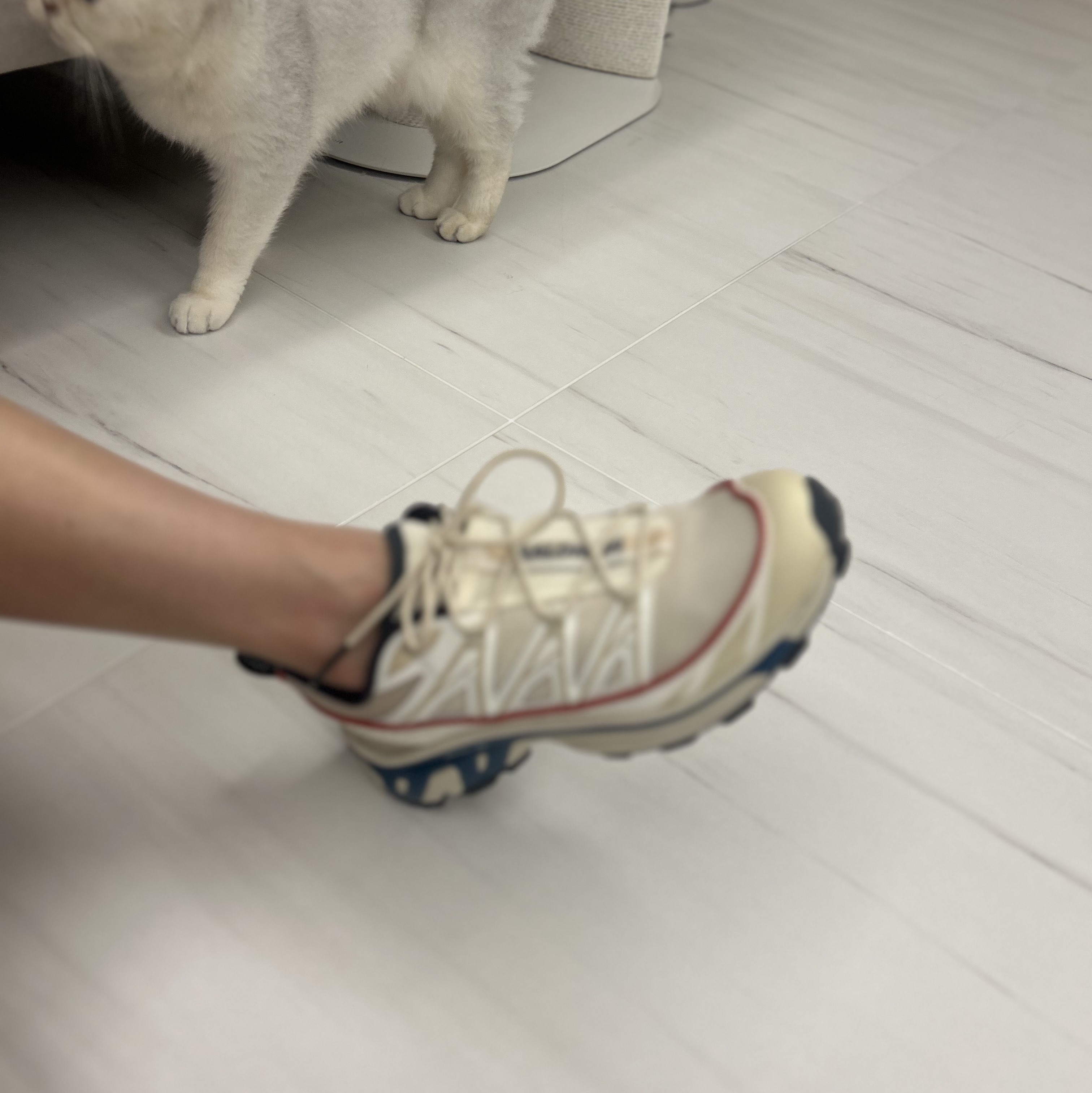 Salomon XT-6 Expanse Almond Milk Aegean Blue 착용 스타일 - 1