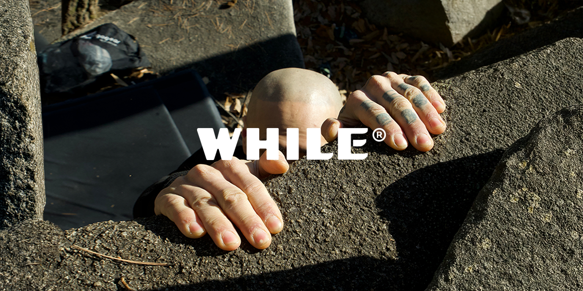 와일(WHILE)