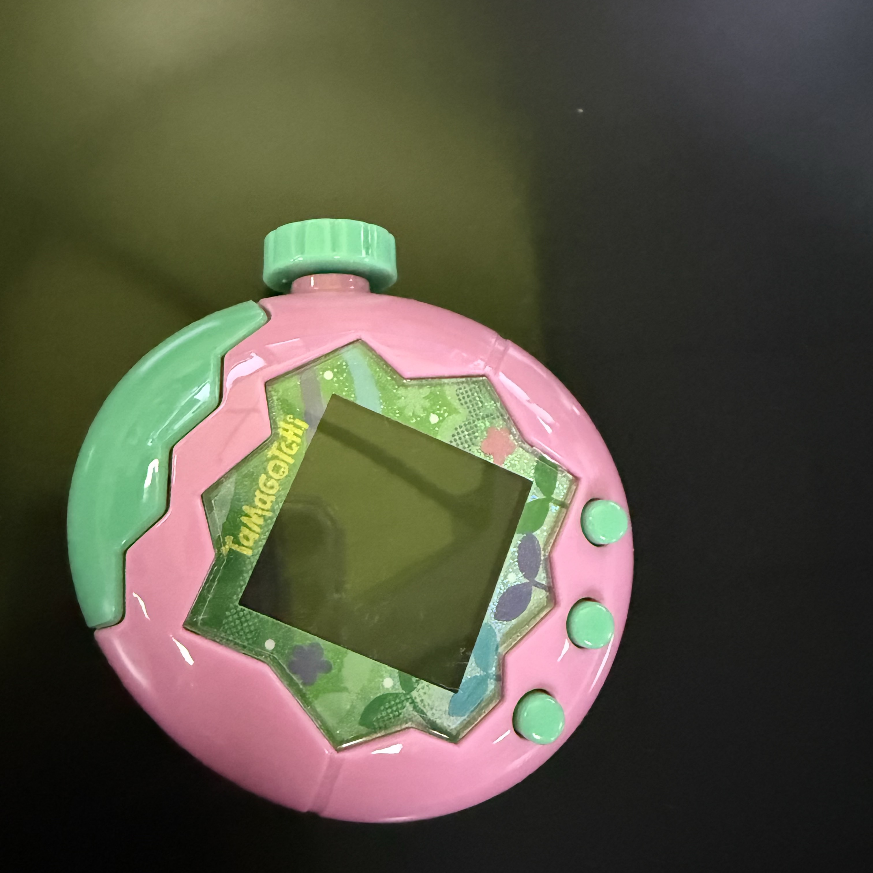 Tamagotchi Paradise Pink Land 착용 스타일
