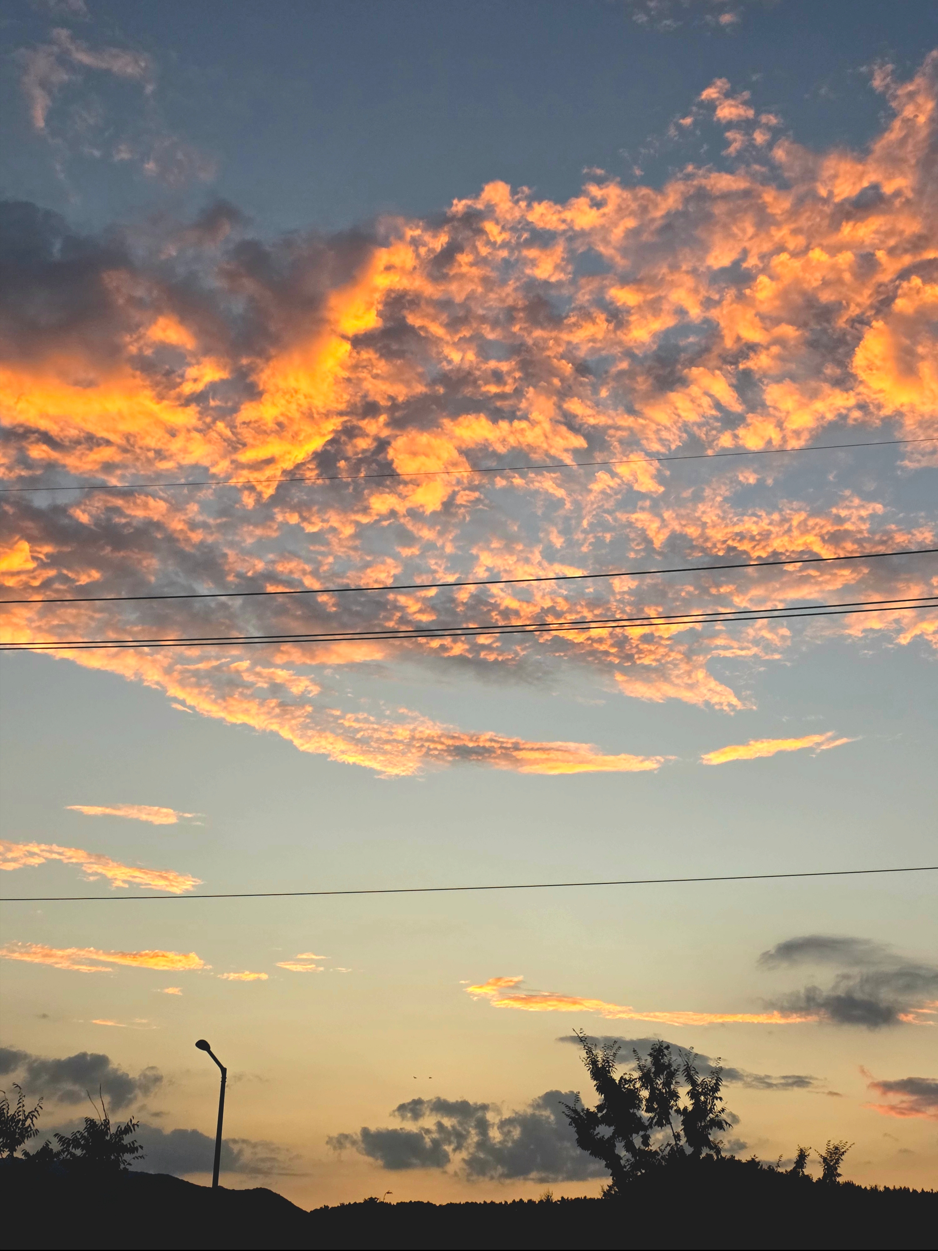 Stussy New Era 9twenty Basic Trucker Woodland Camo, Supreme Mini Duffle Bag Woodland Camo - 24SS 착용 스타일 - 2