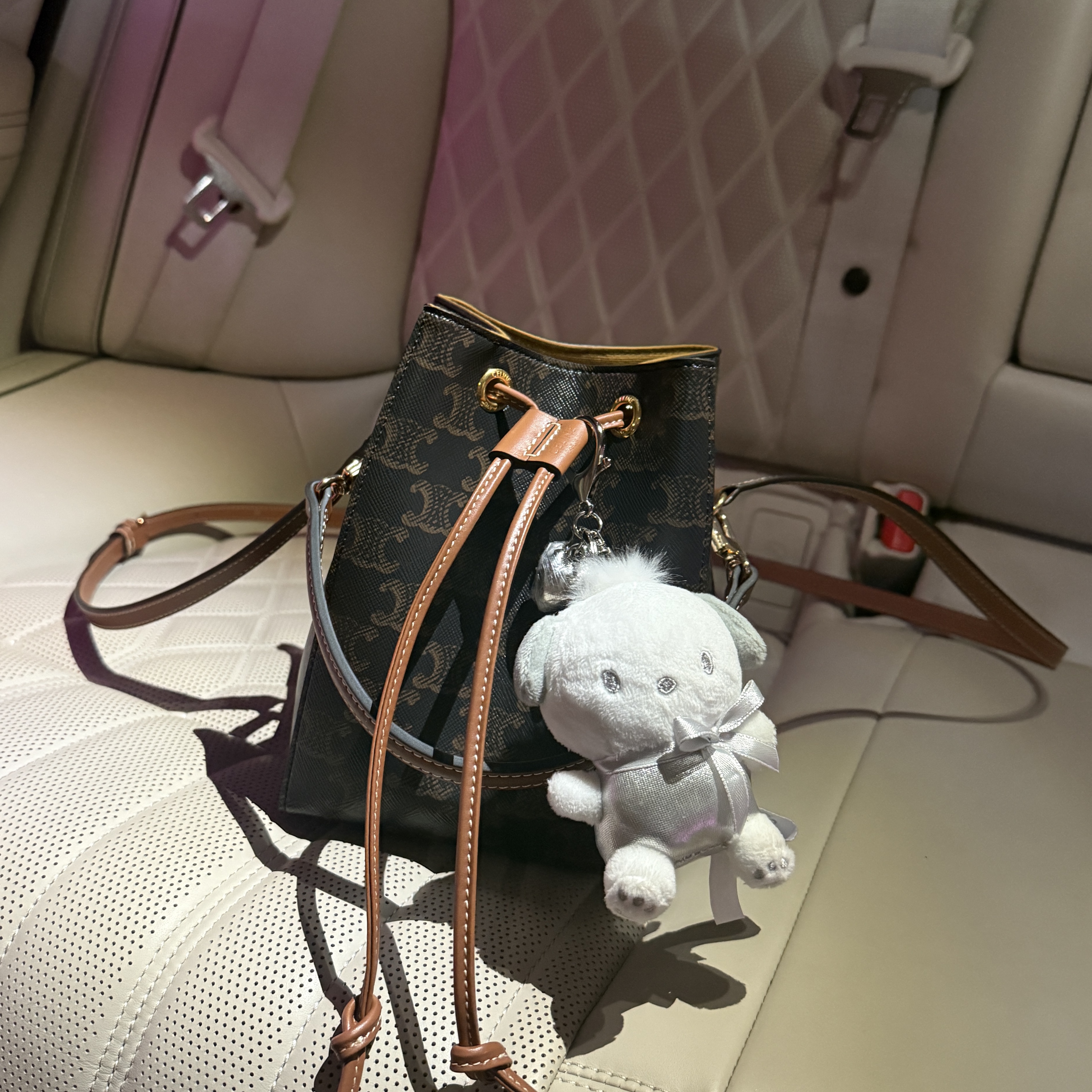 Celine Micro Sailor in Triomphe Canvas Calfskin Tan 착용 스타일