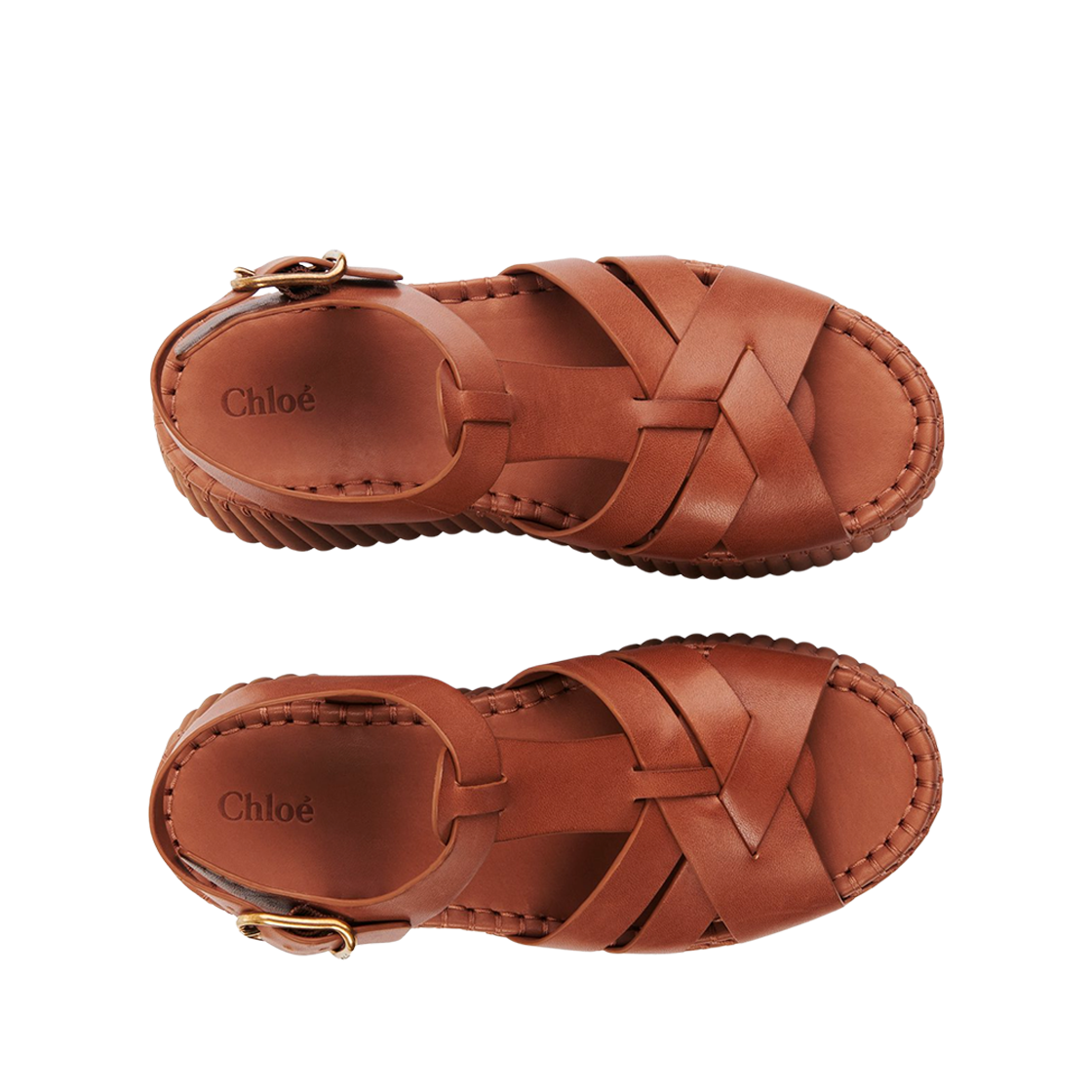 (W) 끌로에 나마 웨지 샌들 진저 브라운((W) Chloe Nama Wedge Sandal Ginger Brown) - 2
