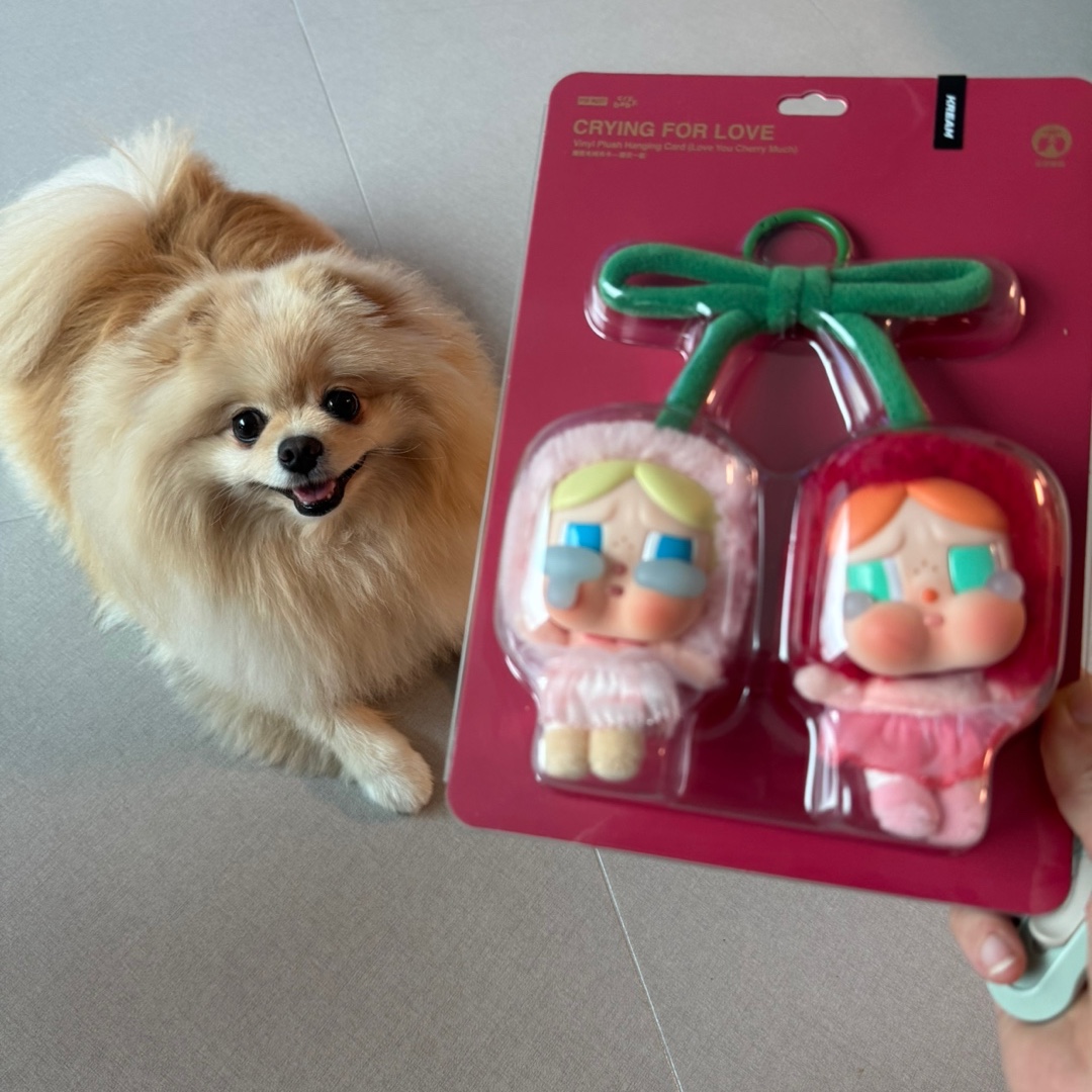 Pop Mart Crybaby Crying For Love Series Vinyl Plush 착용 스타일