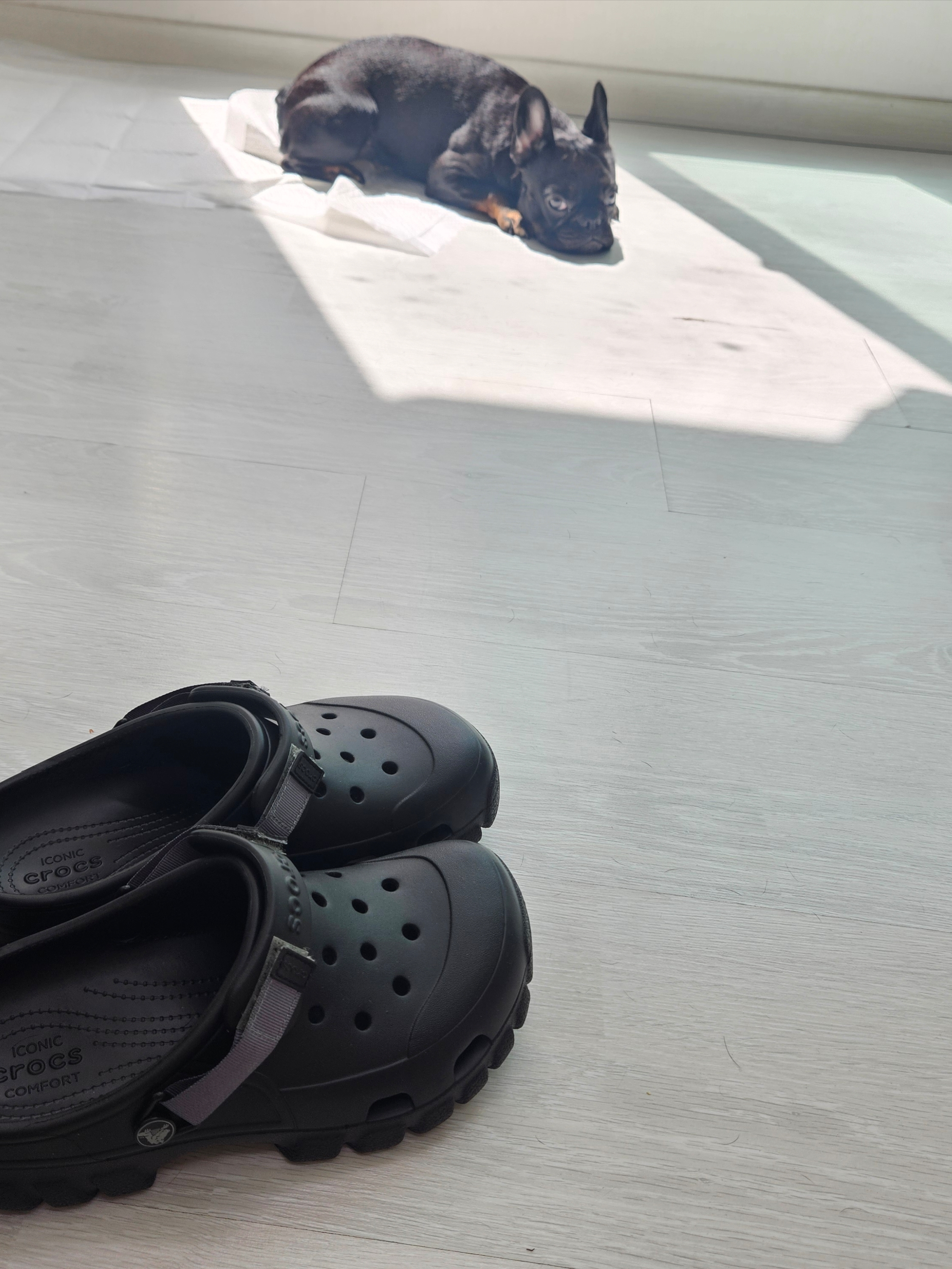Crocs Offroad Sport Clog Black 착용 스타일
