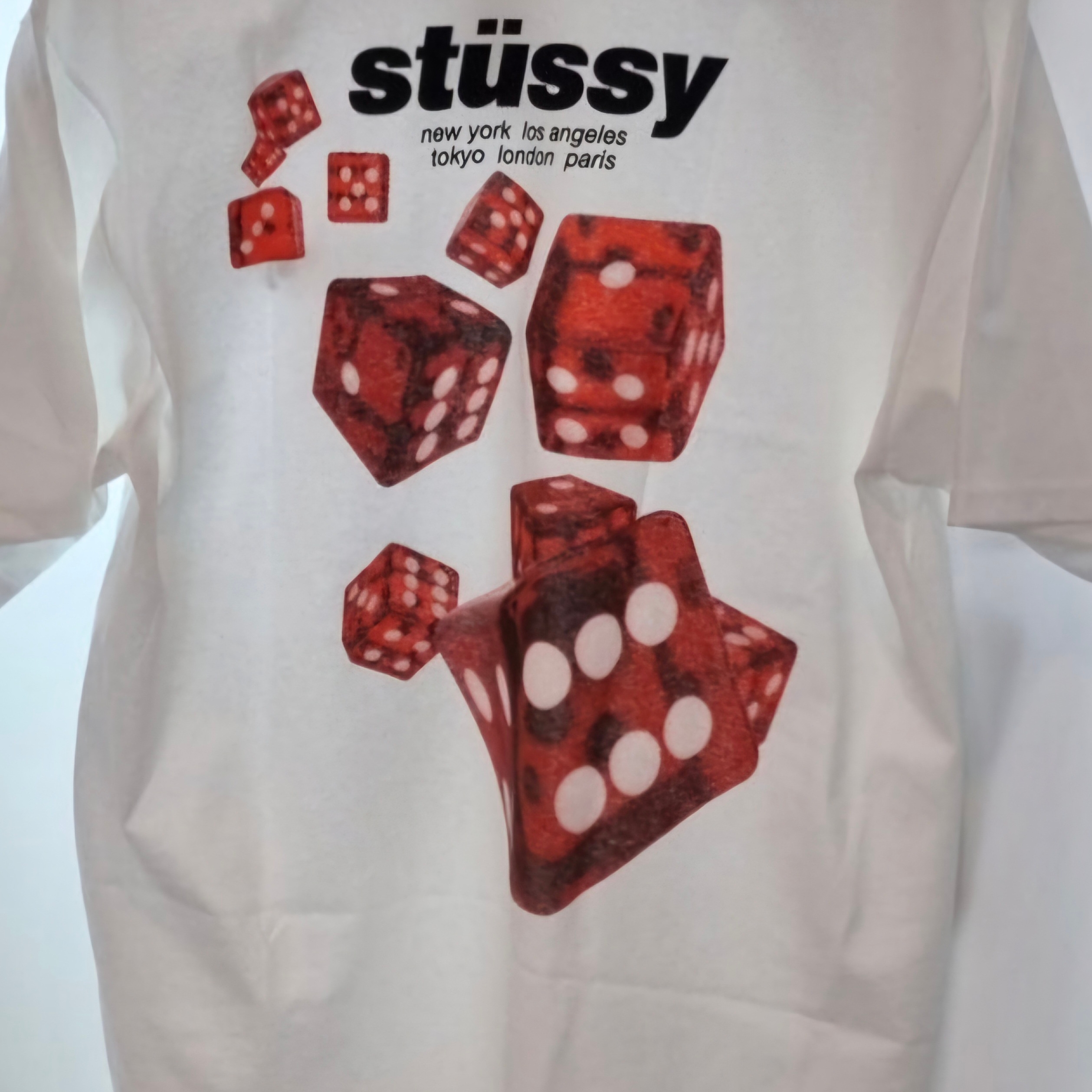Stussy Rollers T-Shirt White 착용 스타일