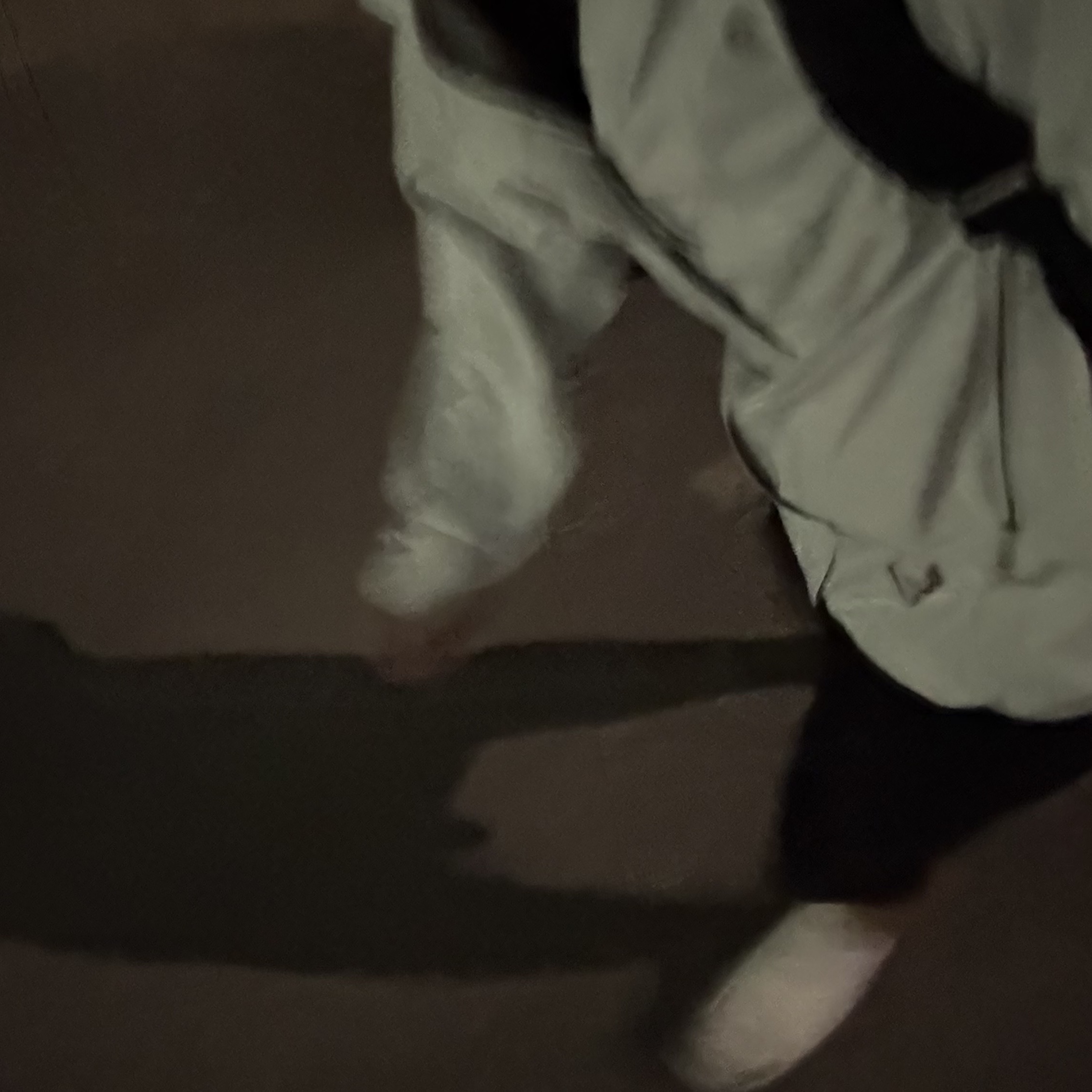 Nike ACG Storm-Fit ADV Cascade Rains Full Zip Jacket Photon Dust - Asia 착용 스타일