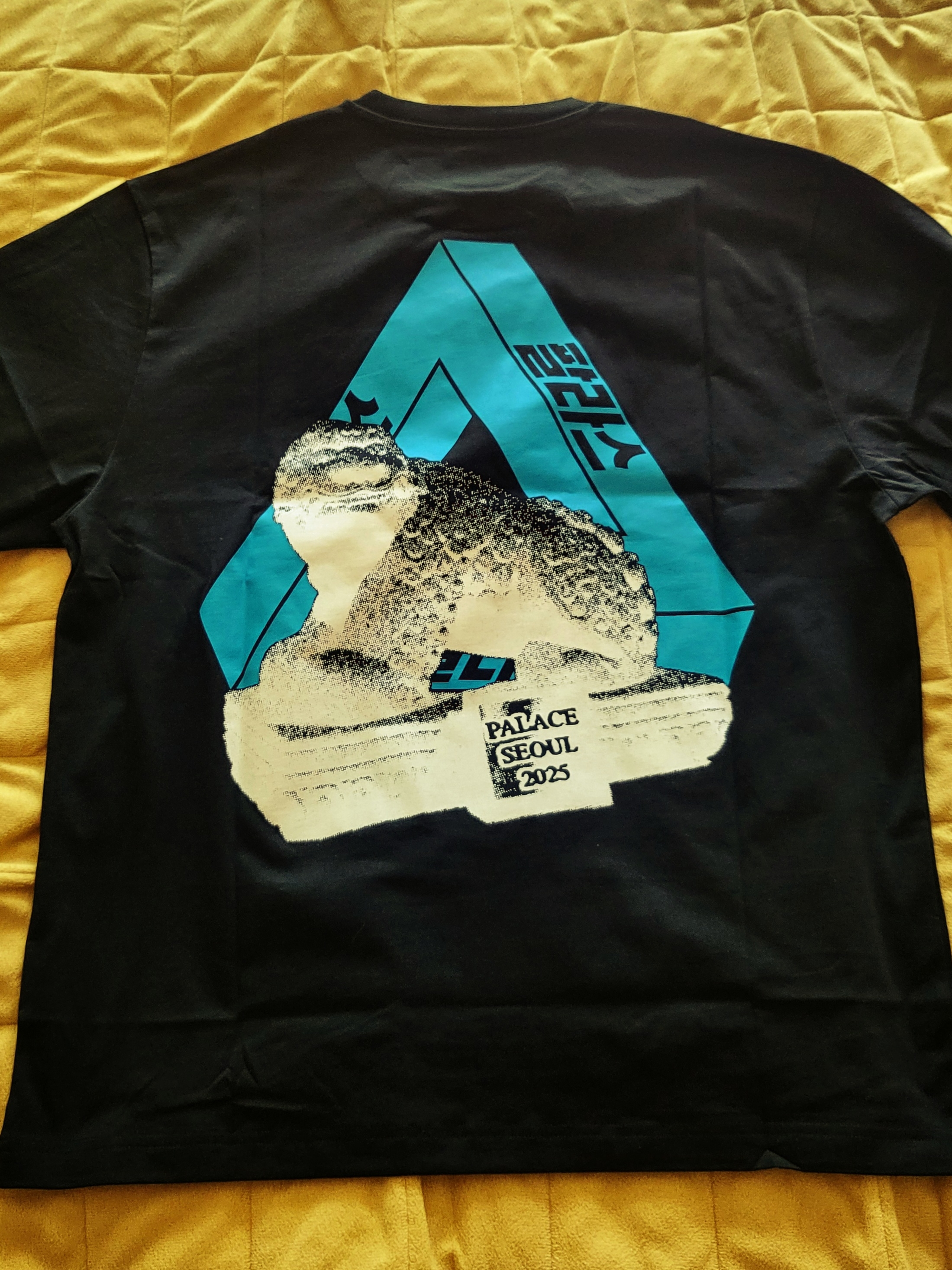 Palace Seoul 2 Seoul Tri-Ferg T-Shirt Black - 25SS, Palace Athletic Zip Funnel Black - 25FW 착용 스타일 - 1