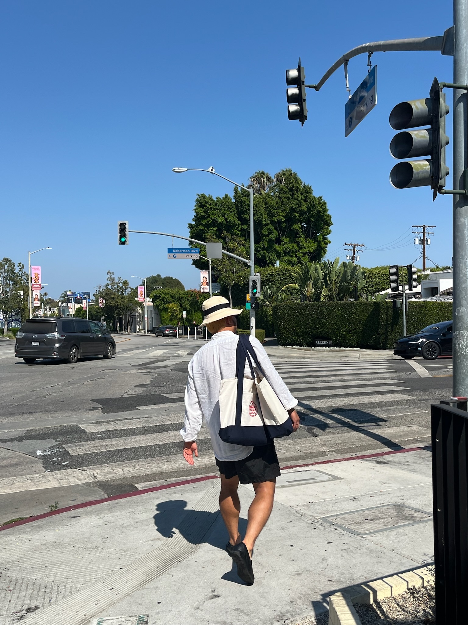 Trader Joe's Canvas Tote Bag Navy 착용 스타일 - 2