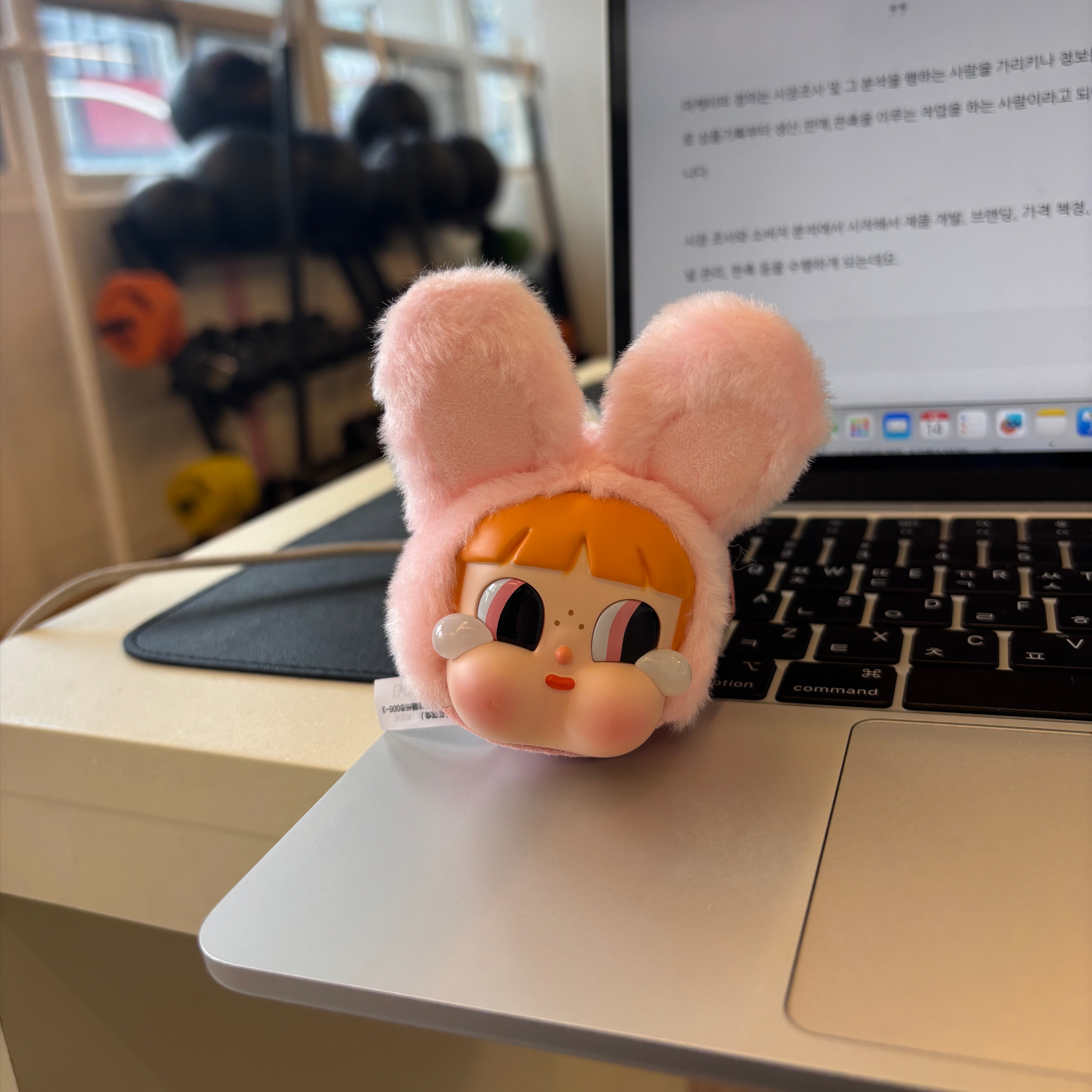 Pop Mart Crybaby x Powerpuff Girls Series Keyring Bunny Blossom (Opened Case) 착용 스타일