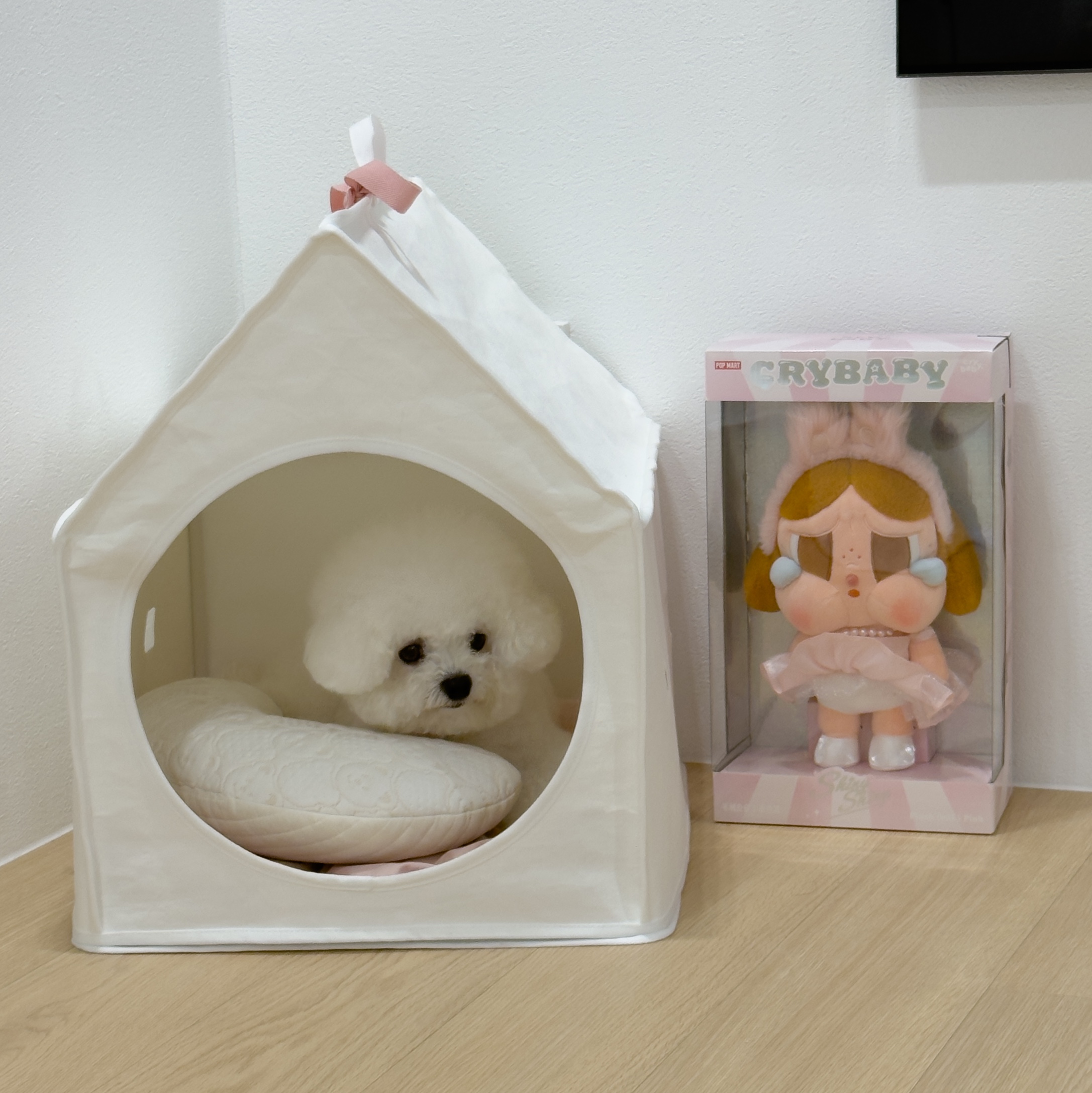 Pop Mart Crybaby Shiny Shiny Series Plush Doll Pink 착용 스타일