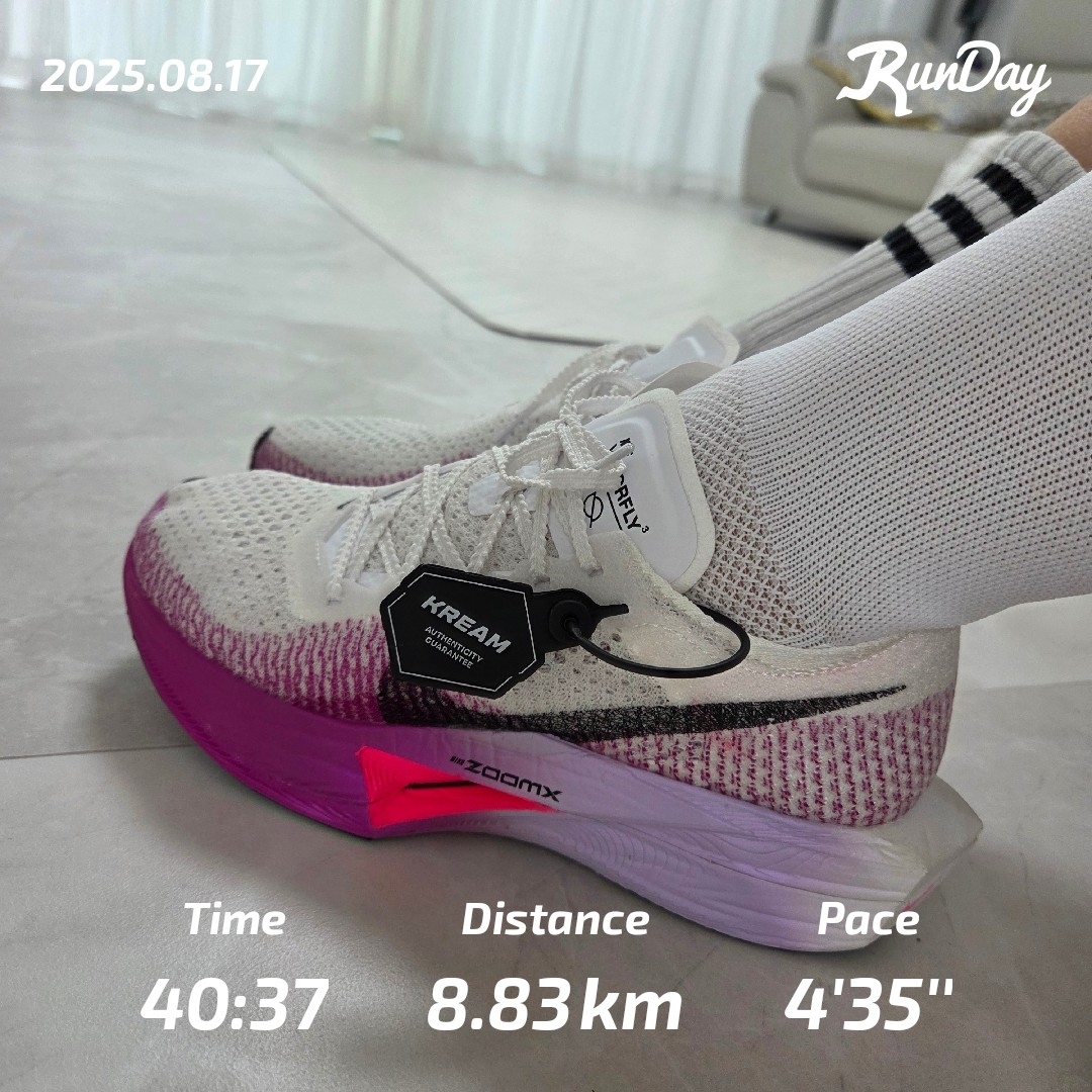 (W) Nike ZoomX Vaporfly Next% 3 White Vivid Purple 착용 스타일