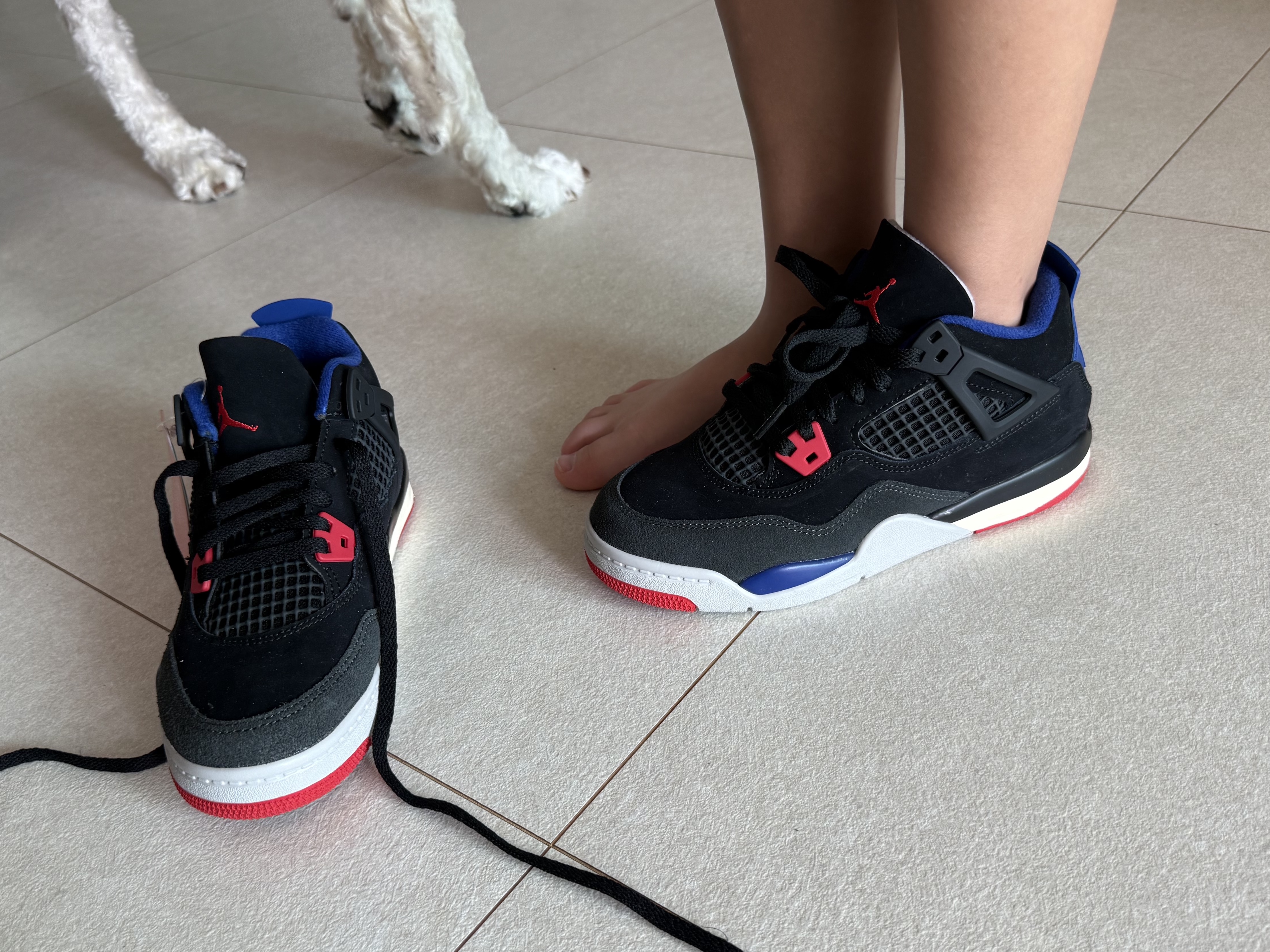 (PS) Jordan 4 Retro Rare Air, Jordan 4 Retro Rare Air 착용 스타일 - 3