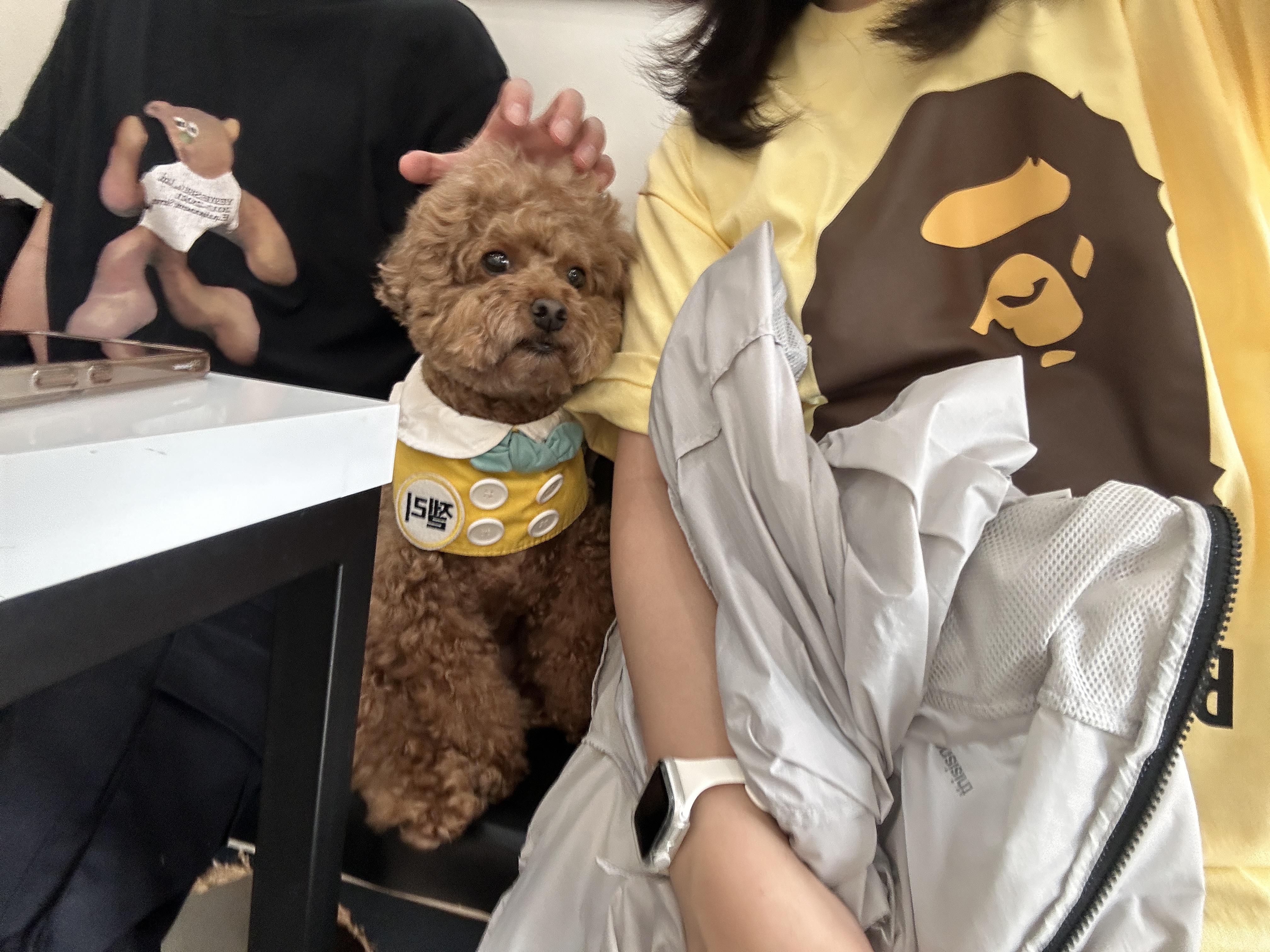 BAPE By Bathing Ape T-Shirt Yellow 착용 스타일