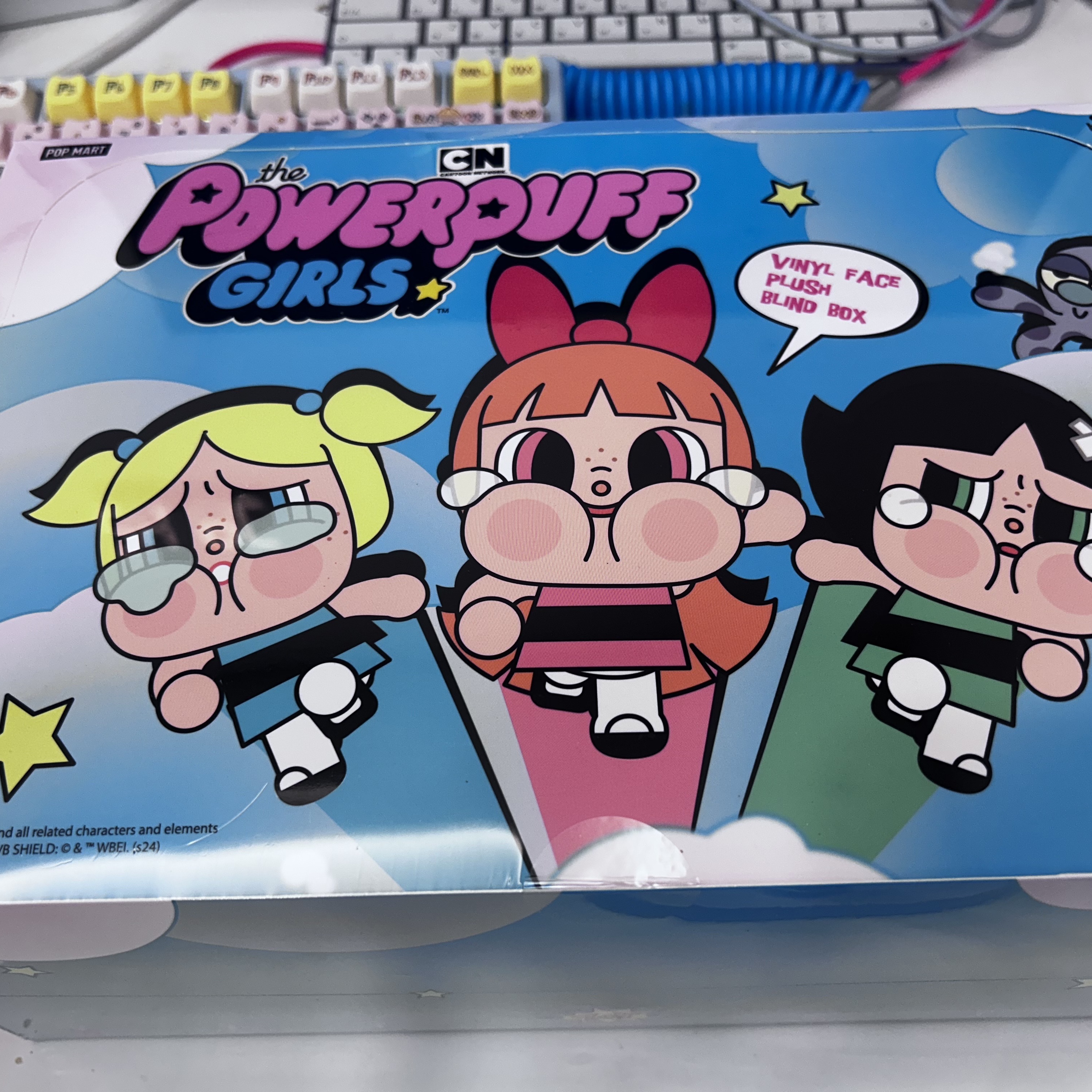 Pop Mart Crybaby x Powerpuff Girls Series Keyring Sealed Case (6 Blind Boxes) 착용 스타일 - 1