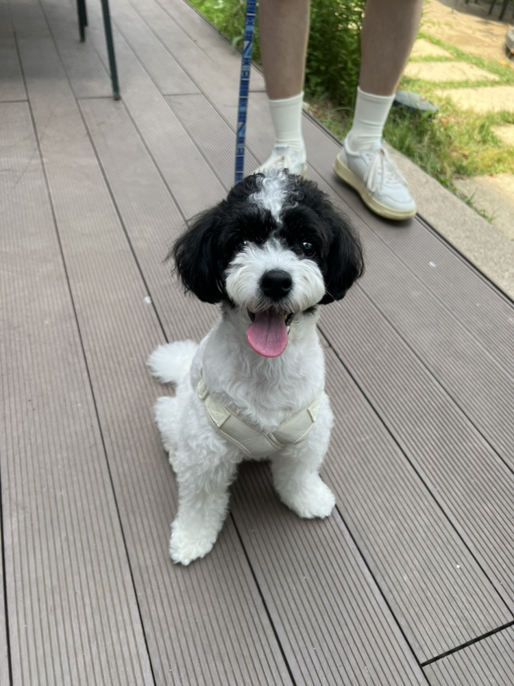 관심 유저 프로필 이미지