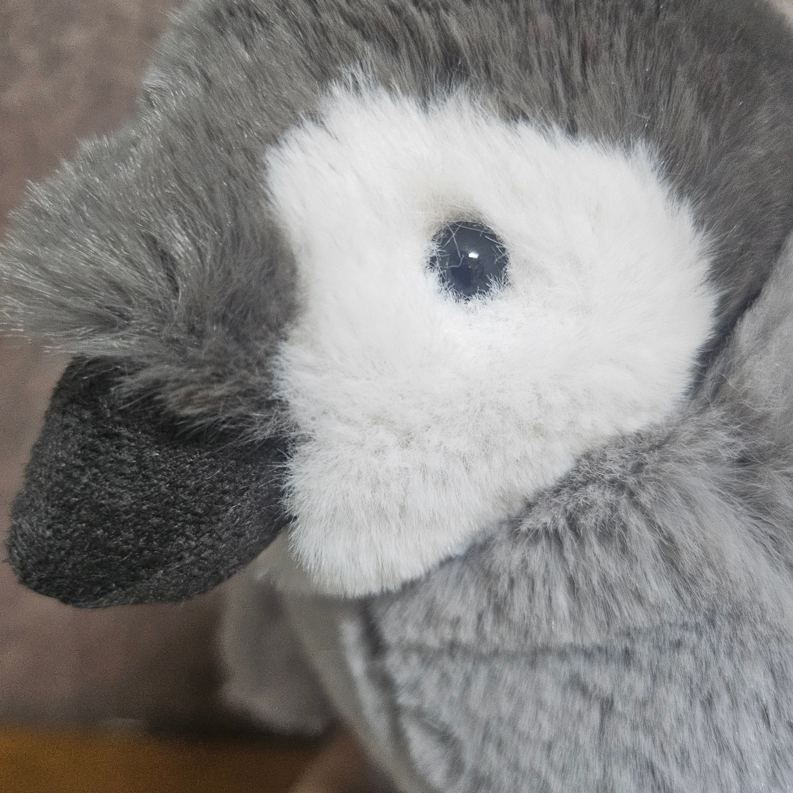 Jellycat Percy Penguin Grey 착용 스타일