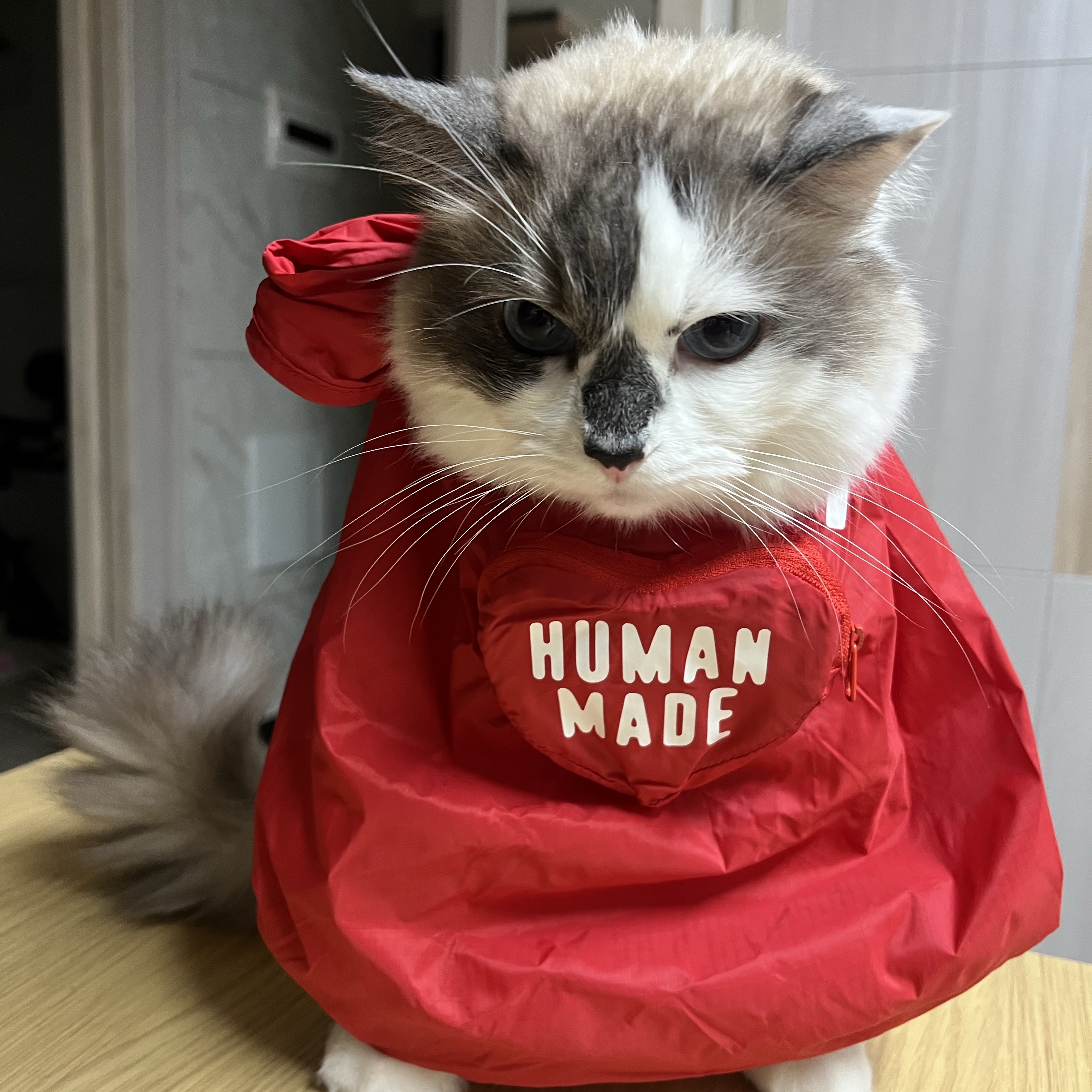 Human Made Heart Shopping Bag Small Red, Stussy Fuzzy Dice T-Shirt White 착용 스타일 - 4