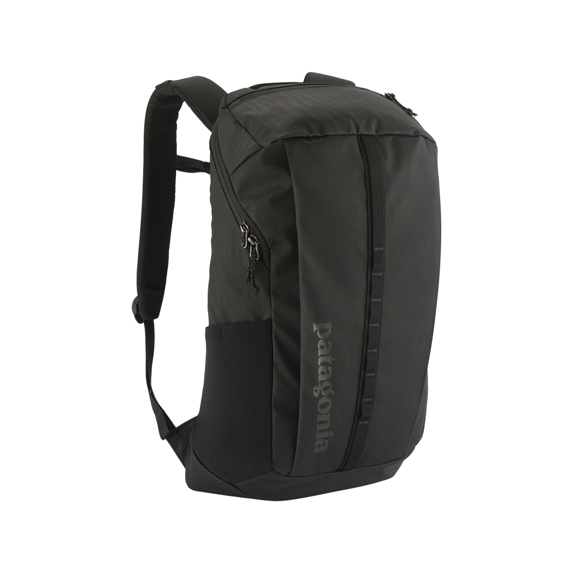 49298 Patagonia Black Hole Pack 25L Black