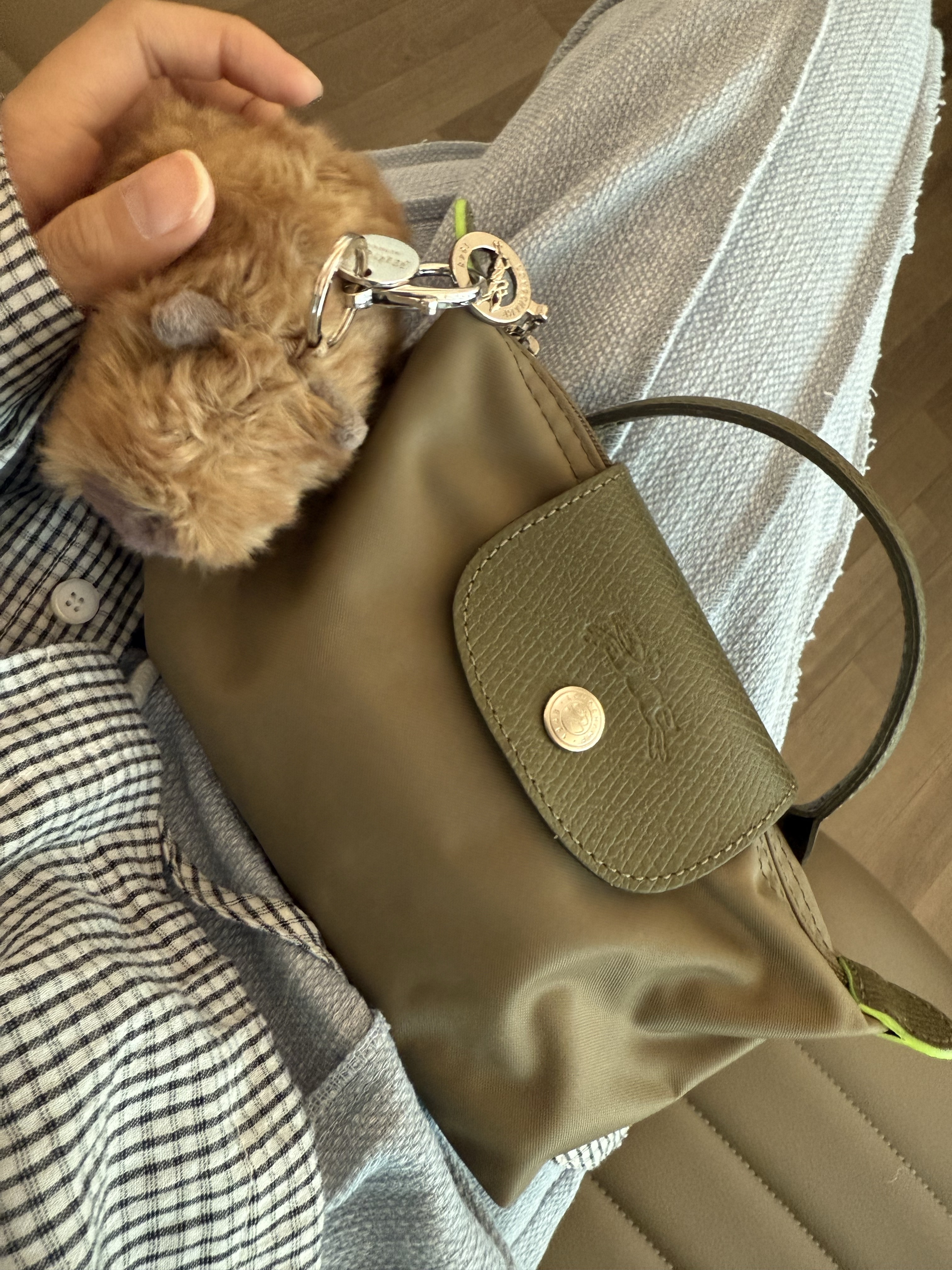 Longchamp Le Pliage Green Handle Pouch Forest, Jellycat Clyde Capybara Bag Charm 착용 스타일