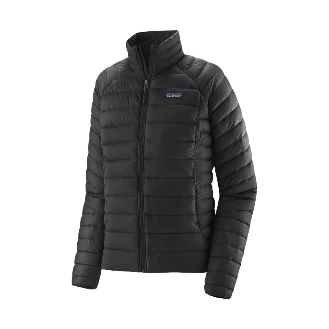 (W) 파타고니아 다운 스웨터 블랙((W) Patagonia Down Sweater Black)