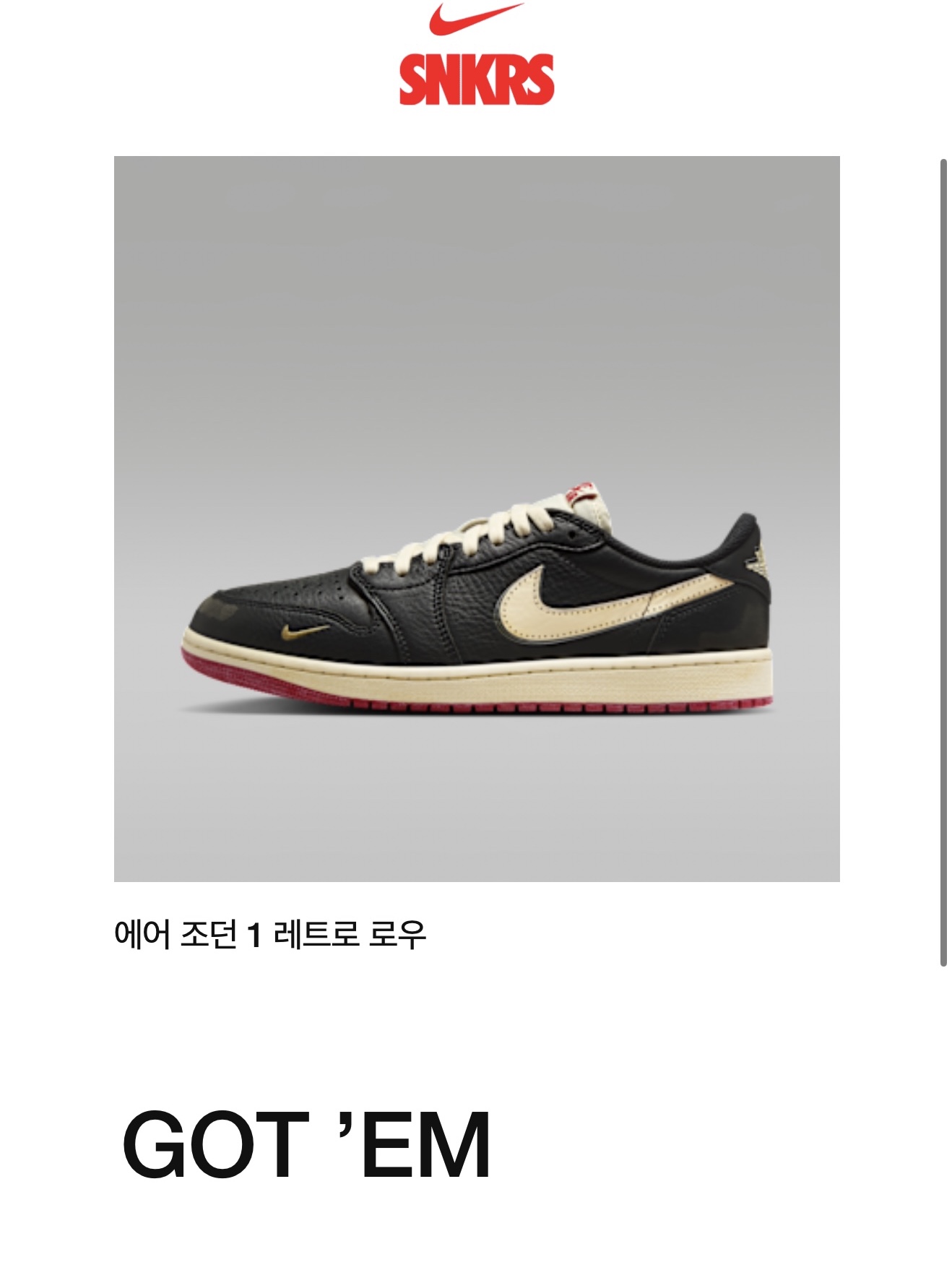 Jordan 1 x Nigel Sylvester Retro Low OG Better With Time 착용 스타일 - 9