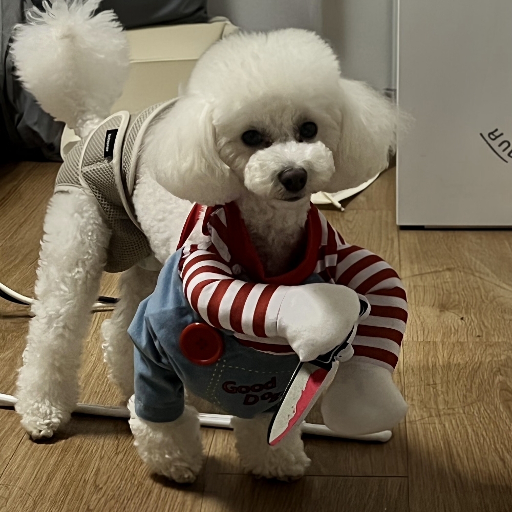 관심 유저 프로필 이미지