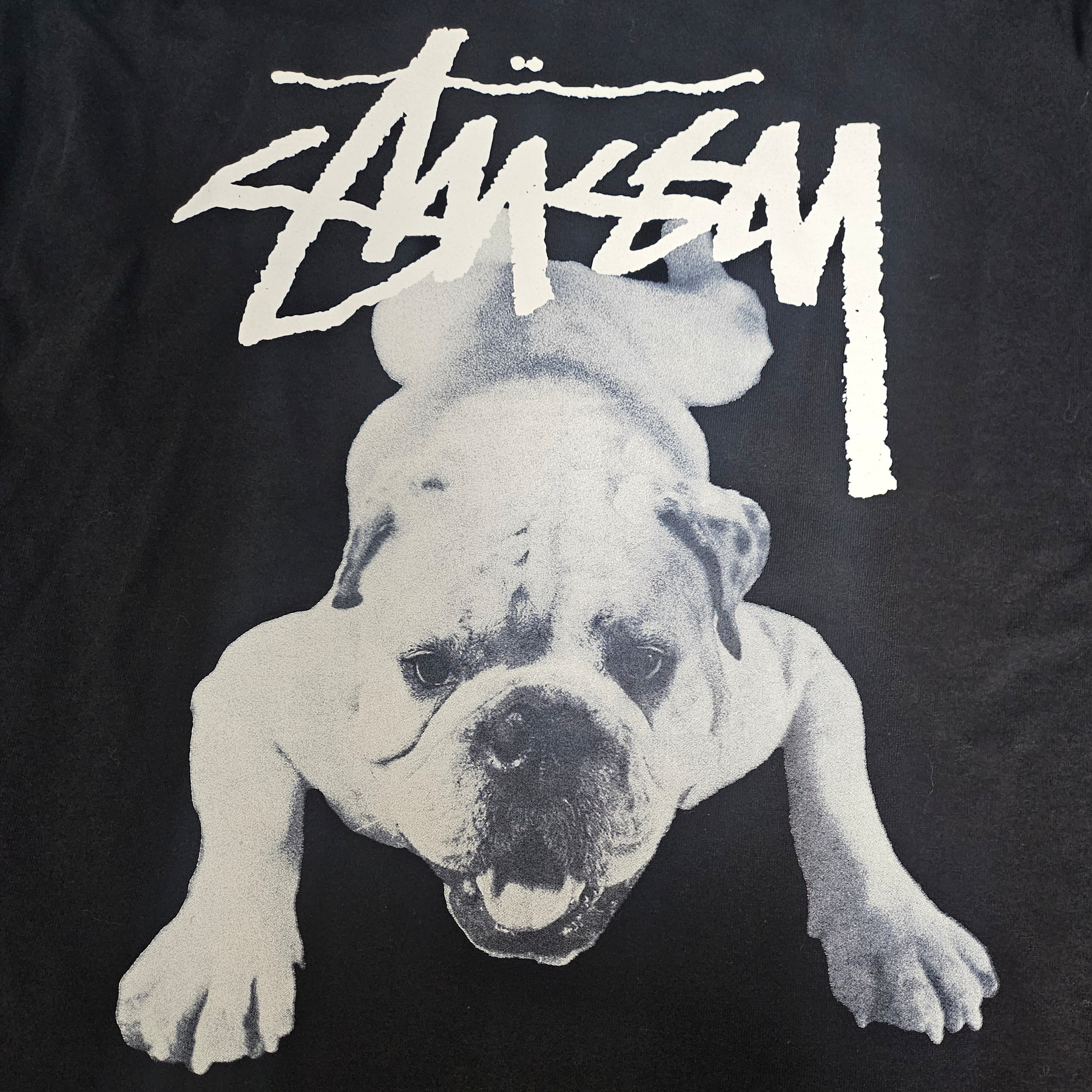 Stussy Stock Dog T-Shirt Black 착용 스타일