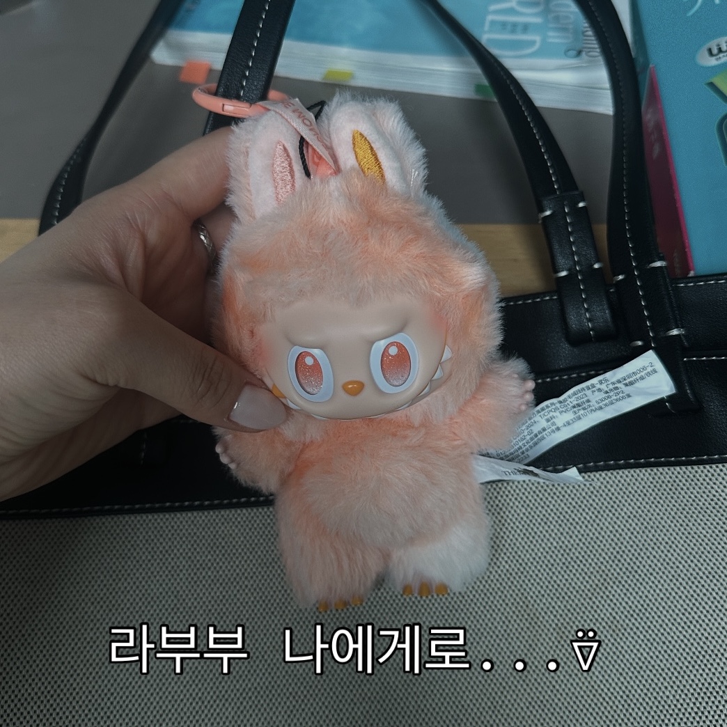 Pop Mart Labubu The Monsters Highlight Series Happiness Keyring (Opened Case) 착용 스타일