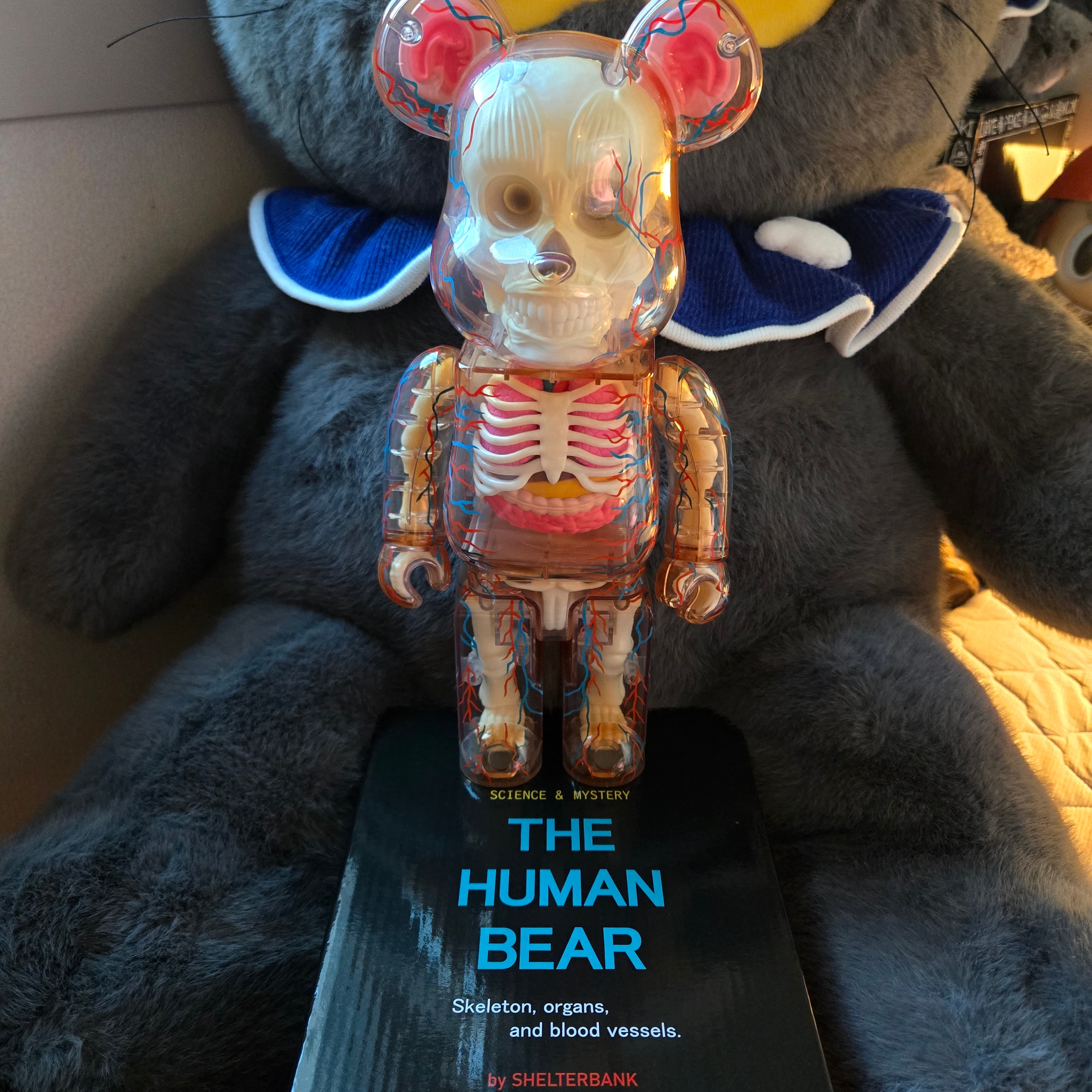 Bearbrick Shelterbank The Human Bear 400％, Zo&Friends Zoa Big Plush Grey 착용 스타일