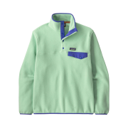 Patagonia Lightweight Synchilla Snap-T Fleece Pullover Rinsed Green