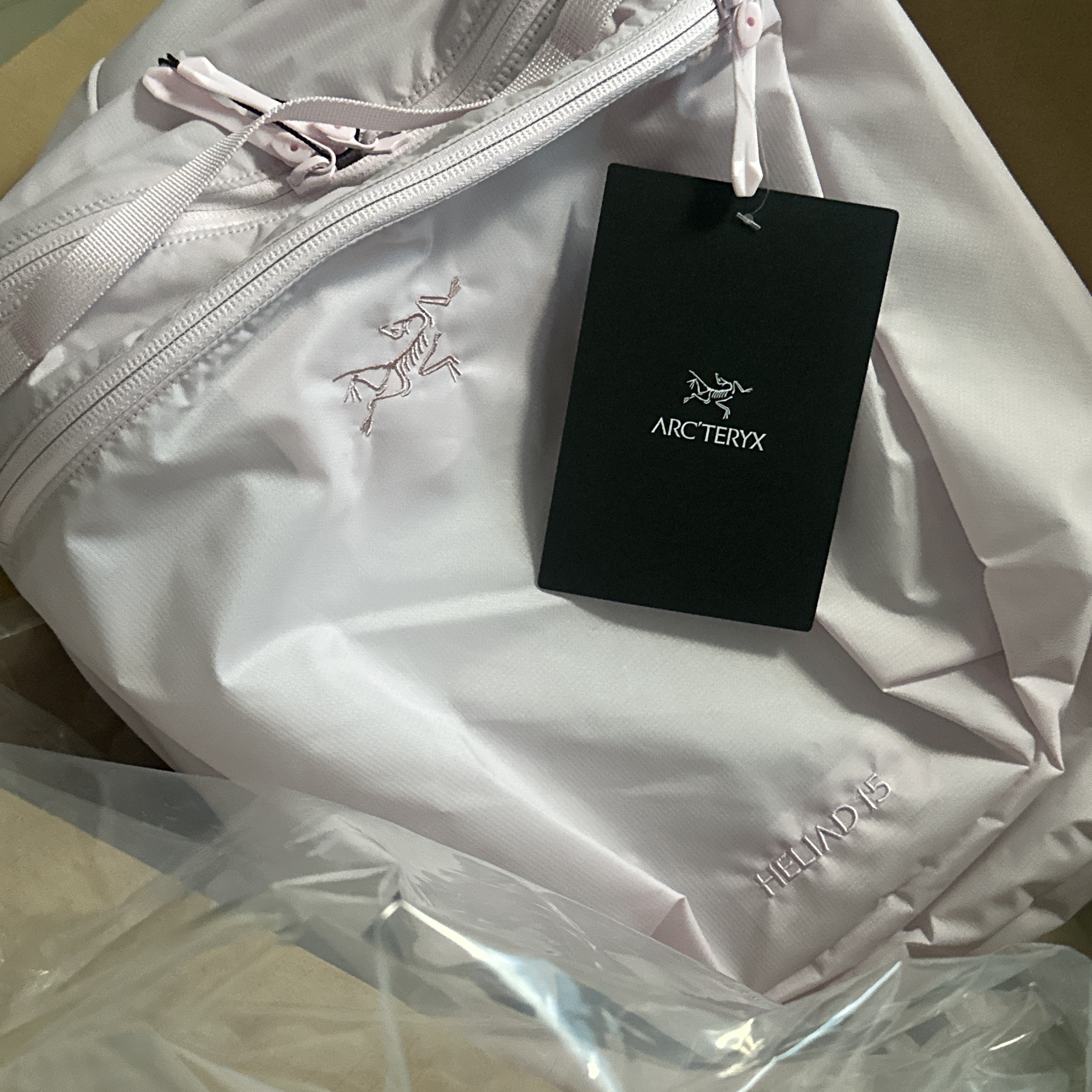 Arc'teryx Heliad 15 Backpack Pink Glow 착용 스타일