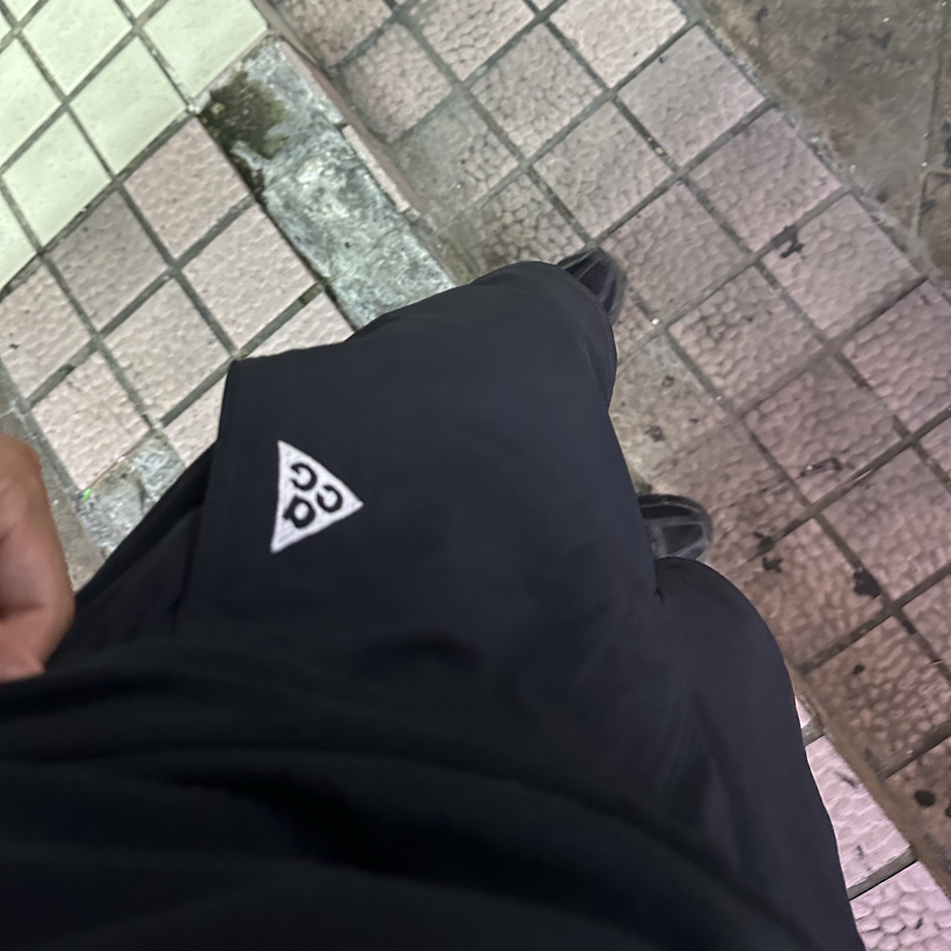 Nike ACG Hiking Shorts Black - Asia 착용 스타일