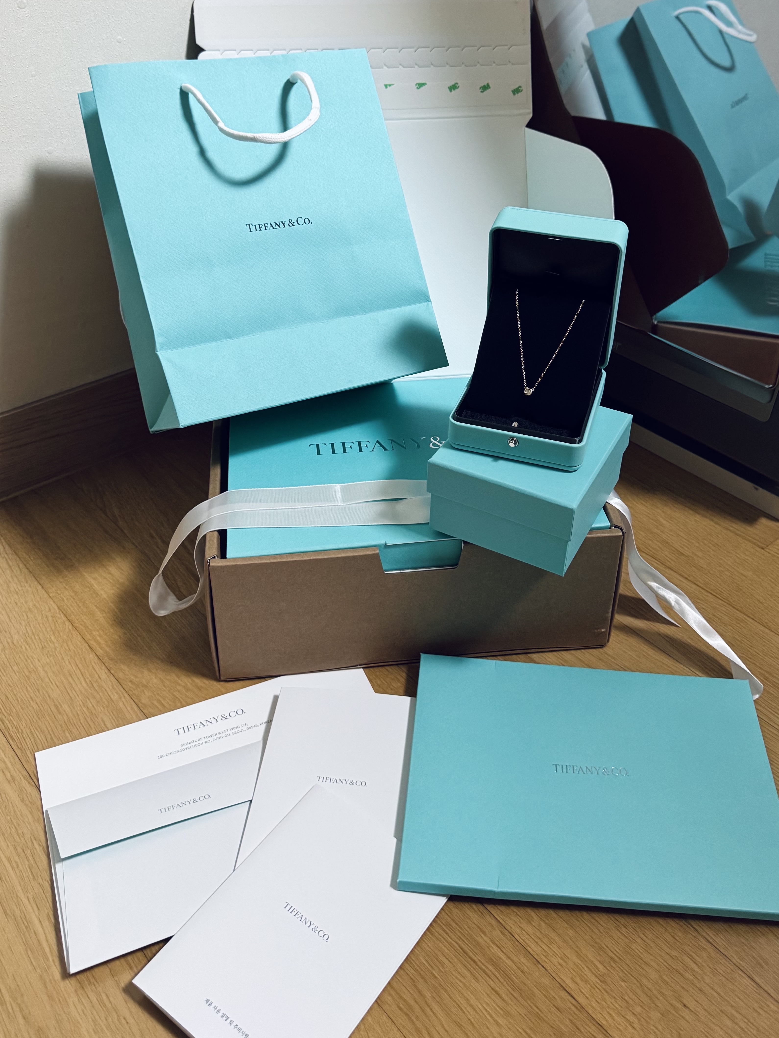 Tiffany & Co. Elsa Peretti Diamonds by the Yard ™ Single Pendant Rose Gold with Diamonds 착용 스타일 - 1