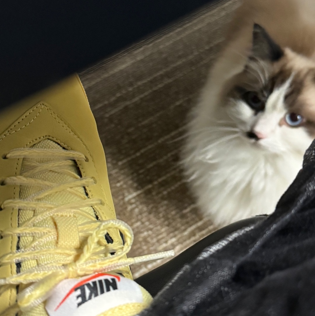 Nike Astrograbber Soft Yellow and Black 착용 스타일 - 1
