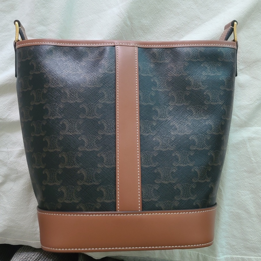 Celine Small Bucket in Triomphe Canvas and Calfskin Tan 착용 스타일