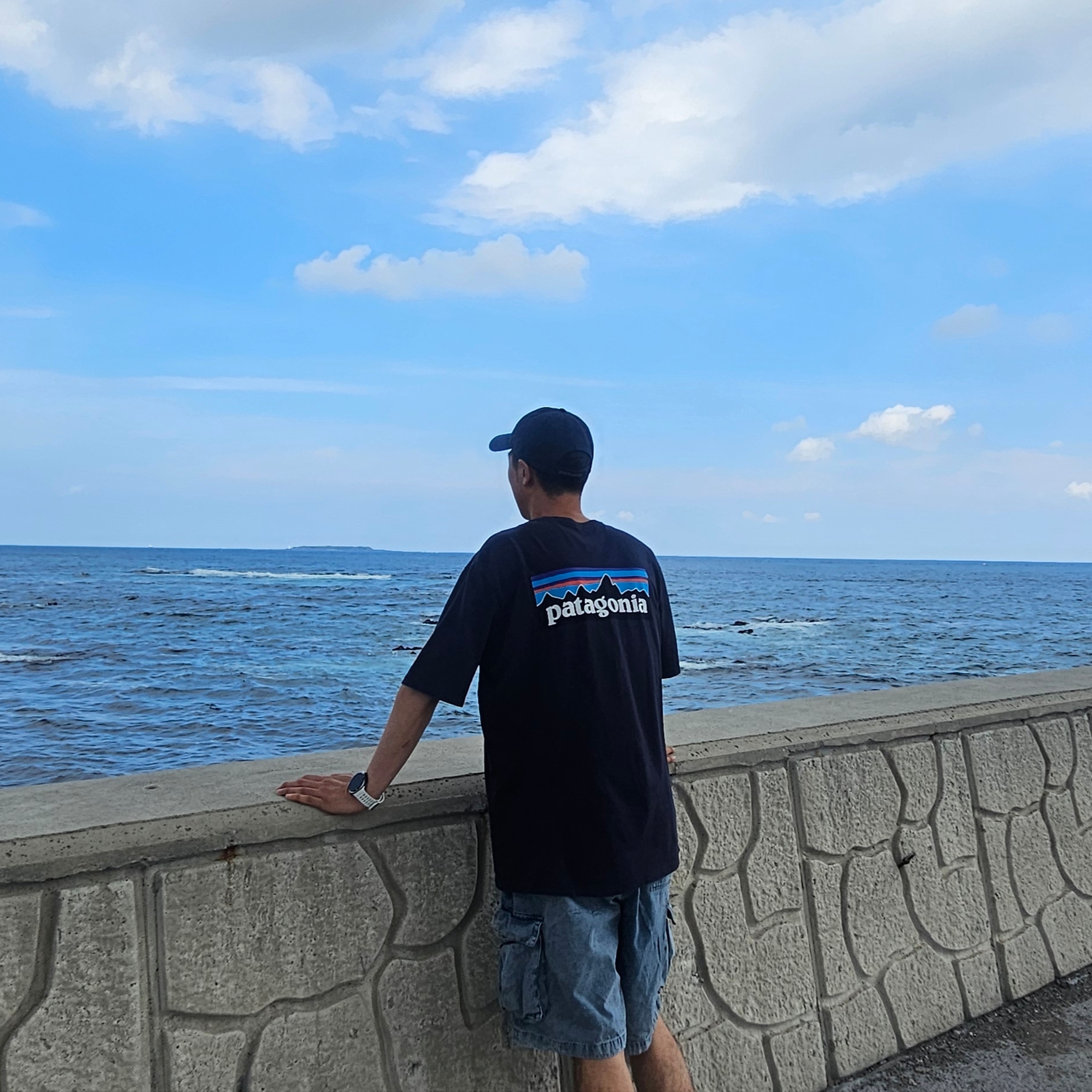 Patagonia P-6 Logo Responsibili-Tee S/S Classic Navy 착용 스타일