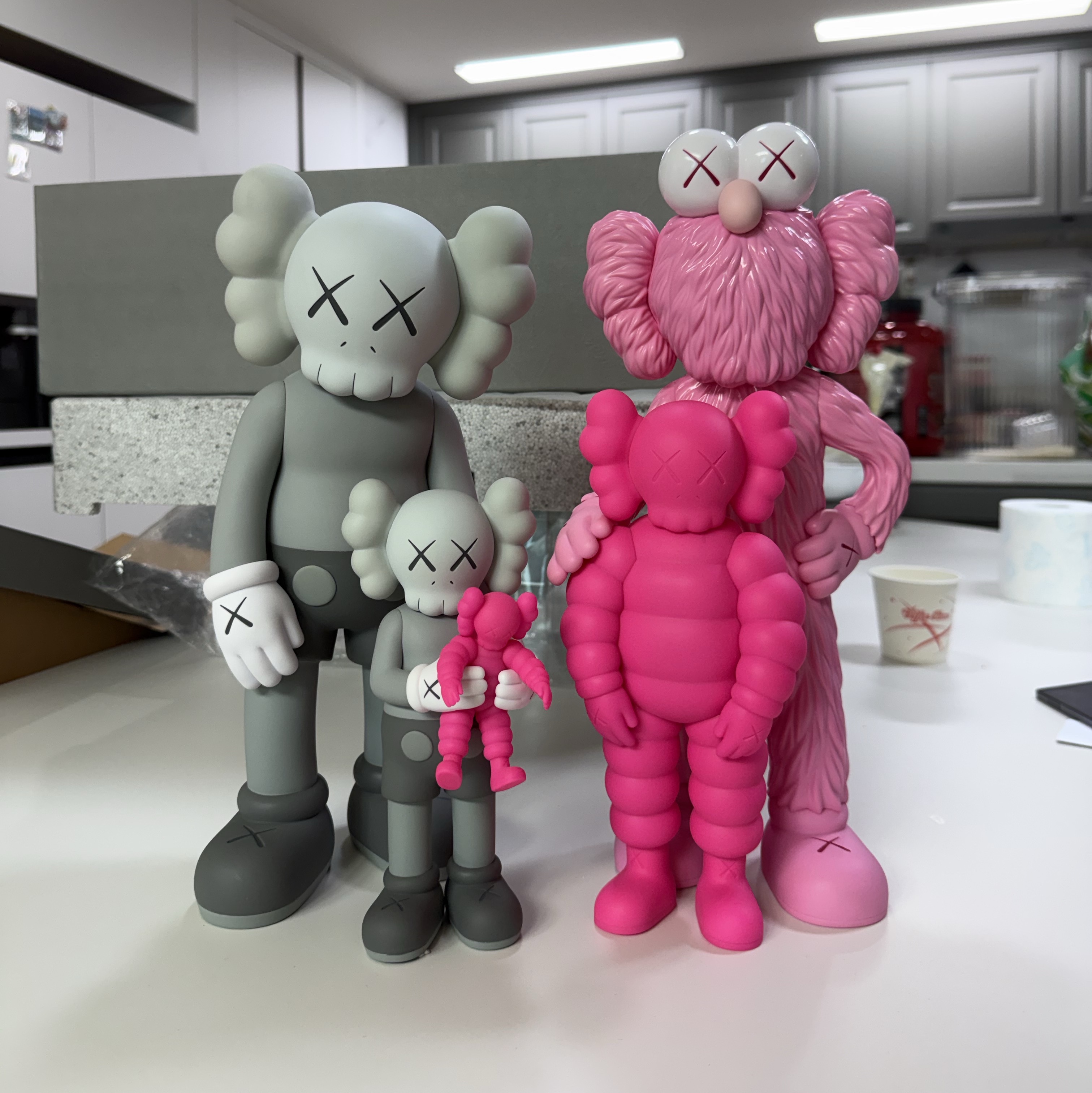 Kaws Family Vinyl Figure Grey Pink 착용 스타일