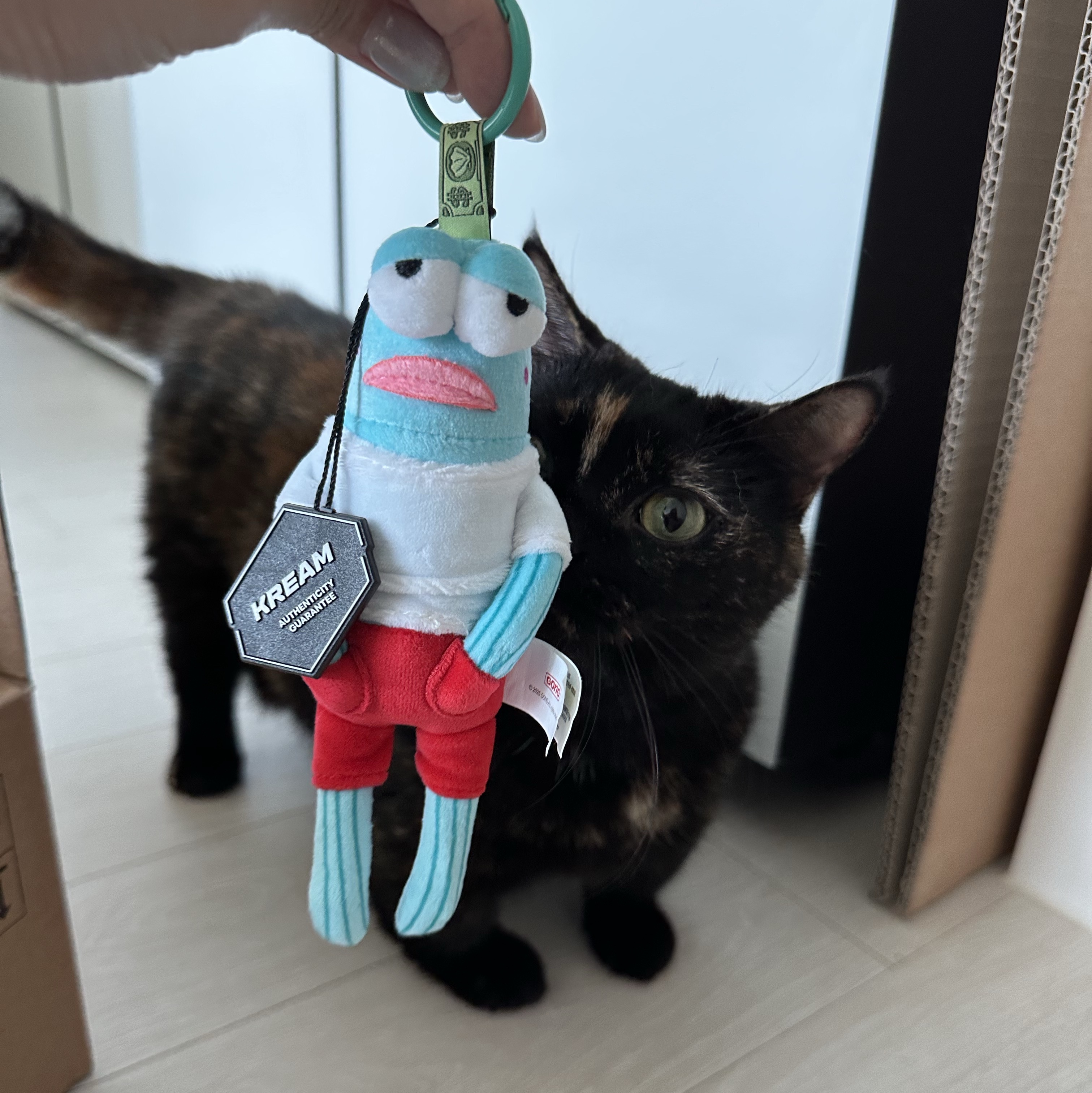 Pop Mart Bikini Bottom Buddies Whimsical Plush Cool Fish (Opened Case) 착용 스타일 - 1
