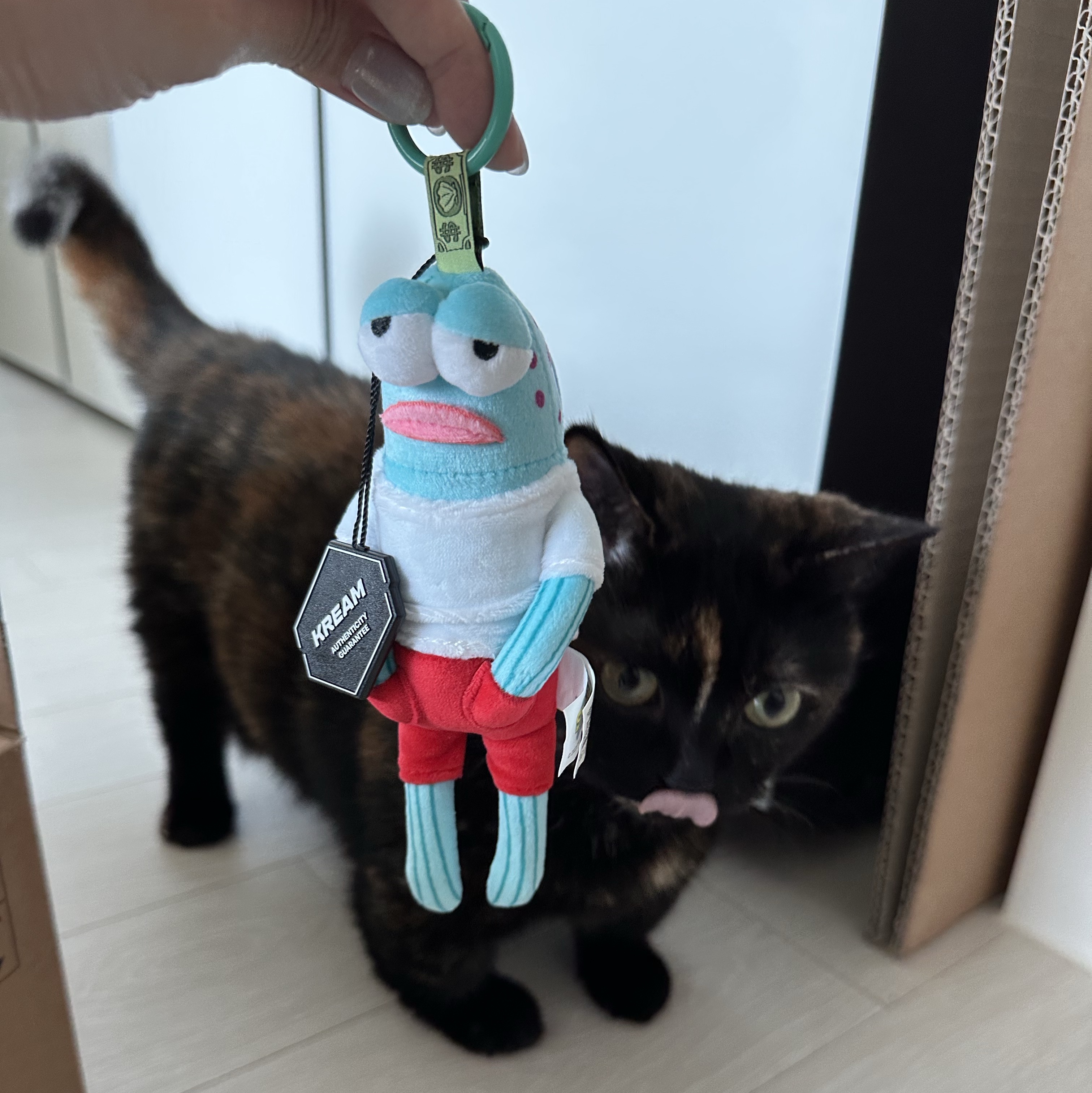 Pop Mart Bikini Bottom Buddies Whimsical Plush Cool Fish (Opened Case) 착용 스타일 - 2