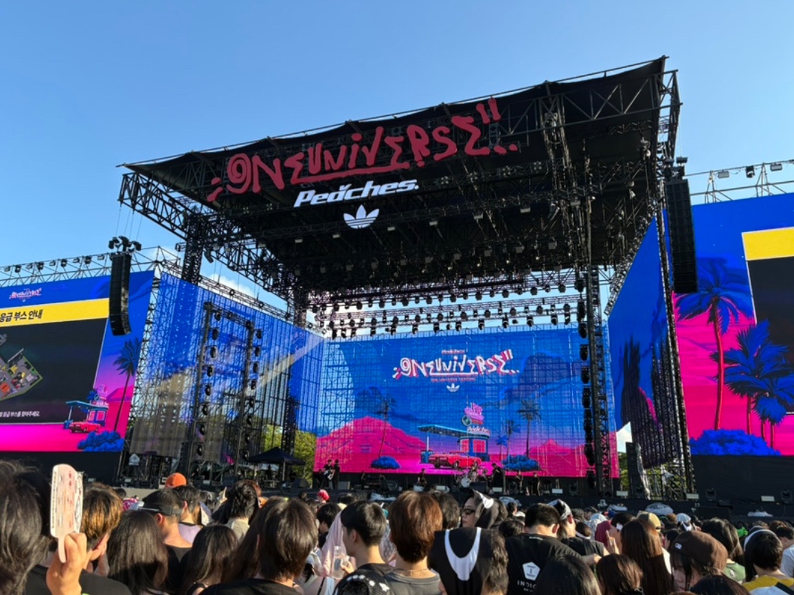 ONE UNIVERSE FESTIVAL 2025 KREAM VIP PASS (1 DAY PASS -  8/15) 착용 스타일