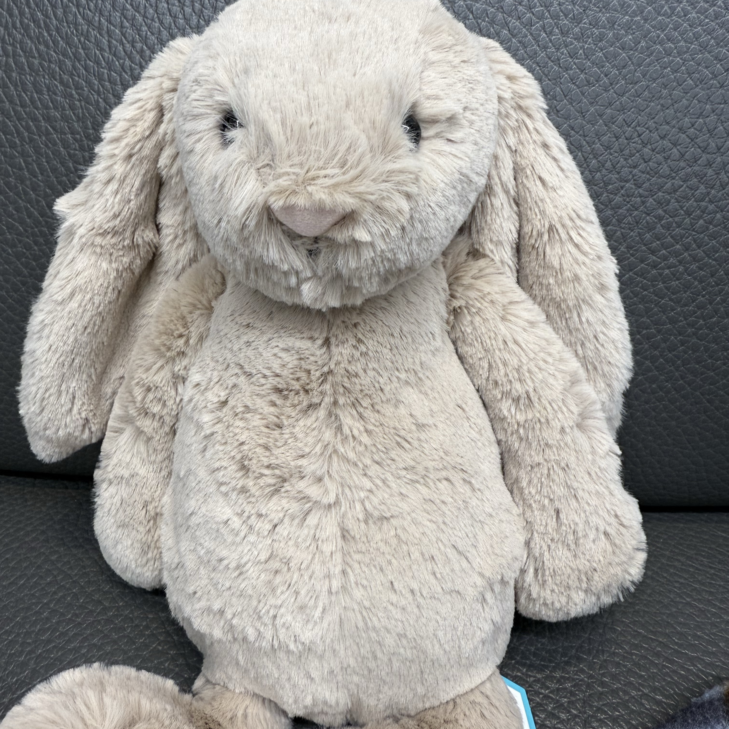 Jellycat Bashful Bunny Medium Beige 착용 스타일 - 1