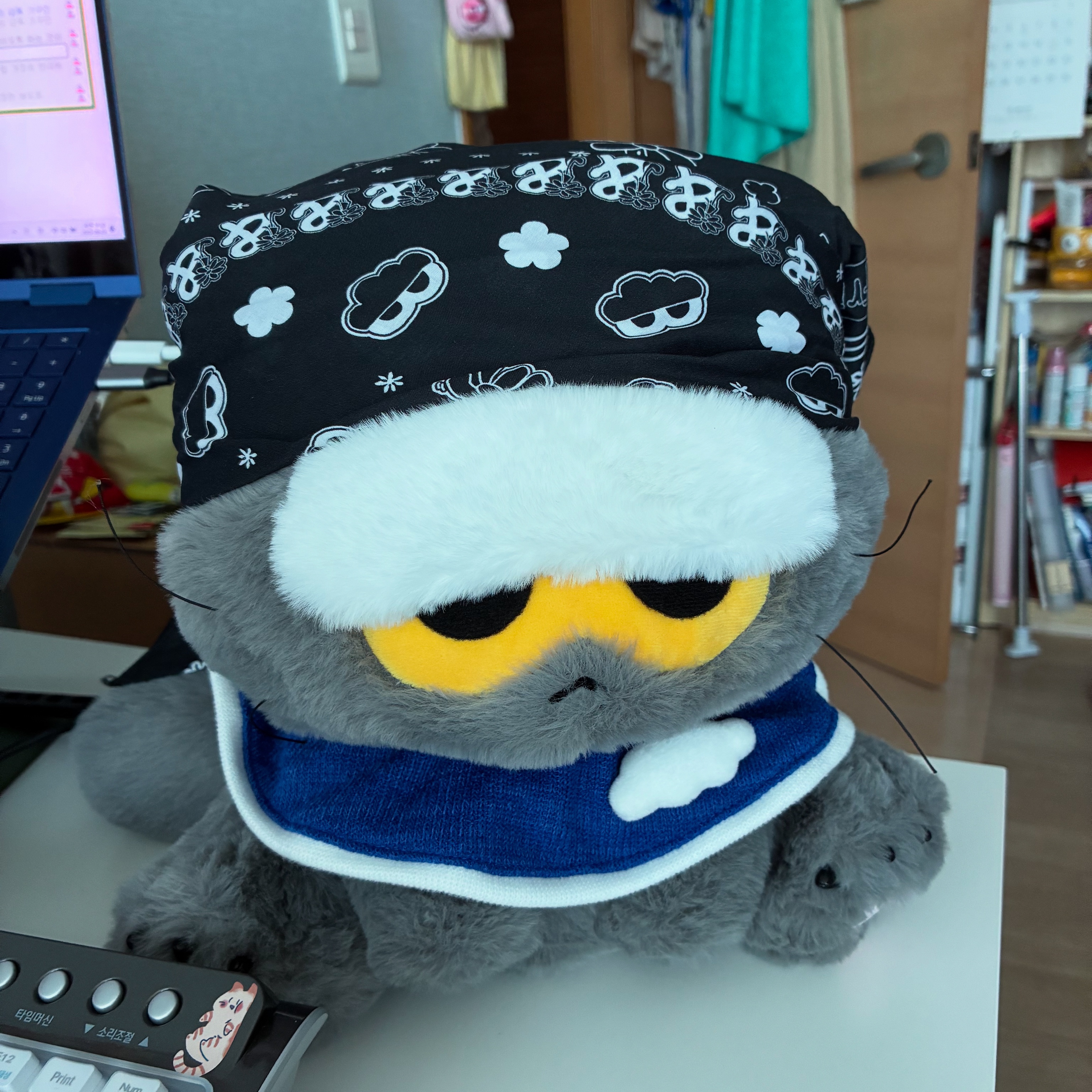 Zo&Friends Zoa Medium Plush Grey 착용 스타일