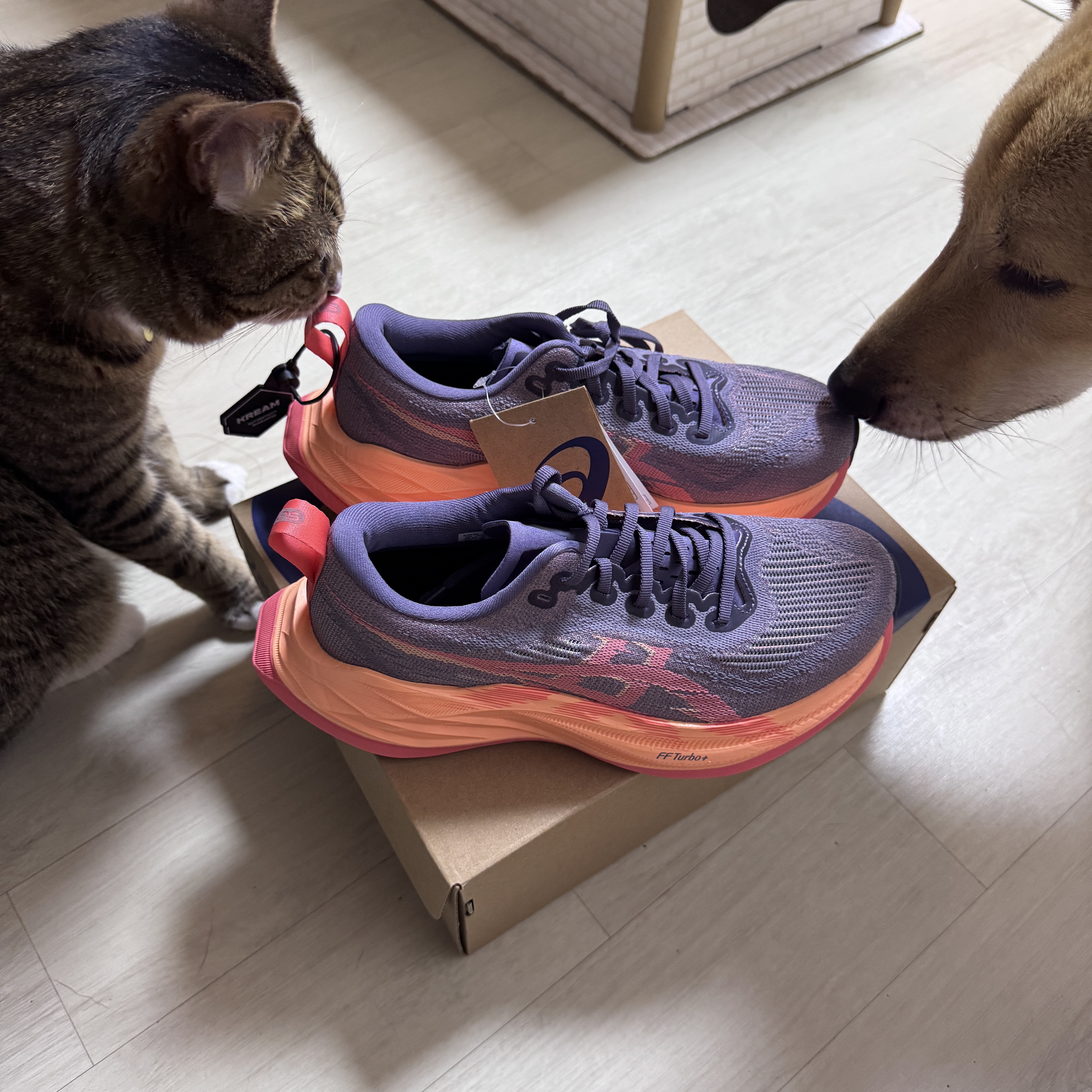 Asics Superblast 2 Greyish Purple Coral Reef 착용 스타일 - 3