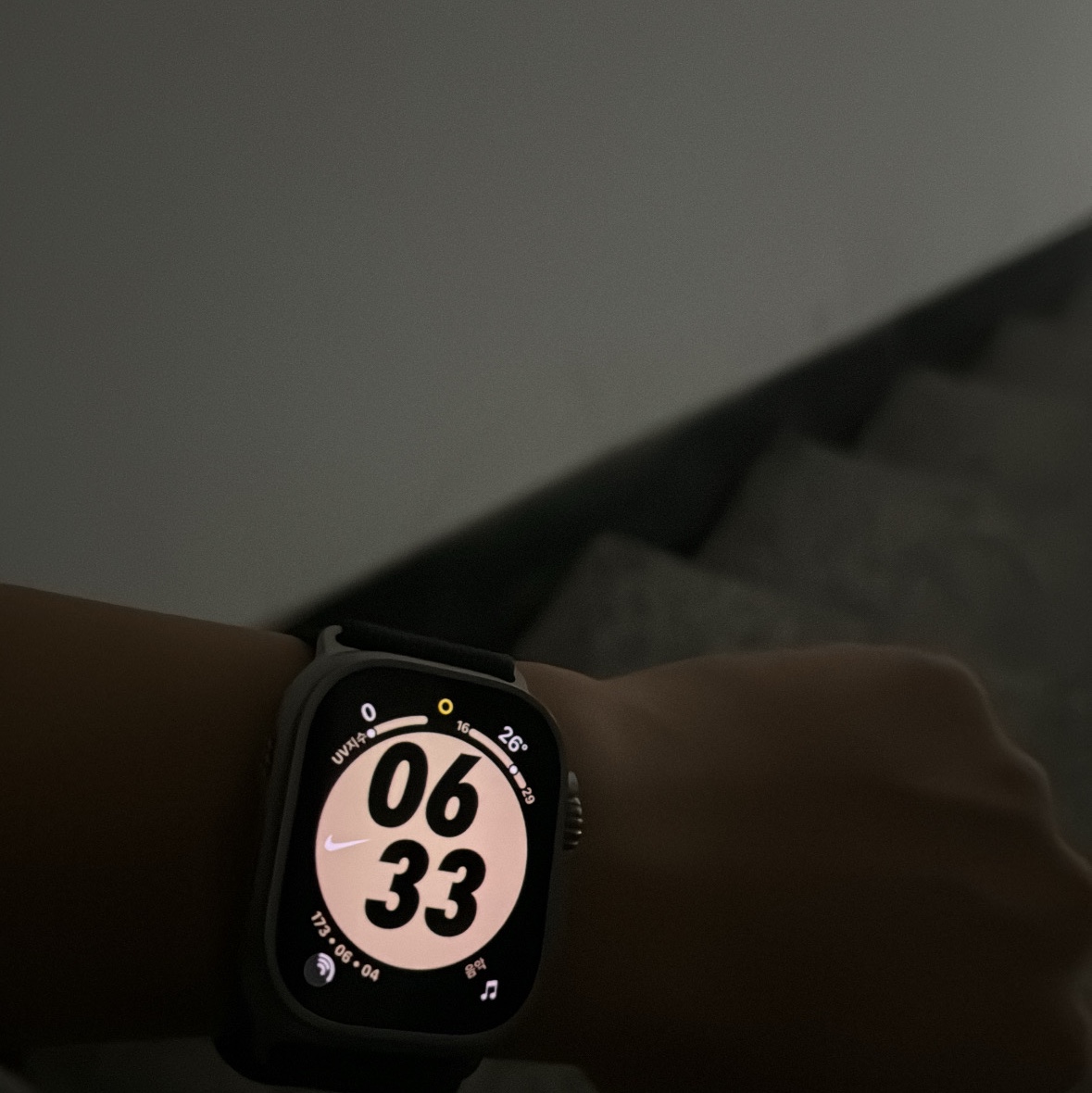 Apple Watch Ultra 49mm Titanium Case with Ocean Band Midnight (Korean Ver.) 착용 스타일