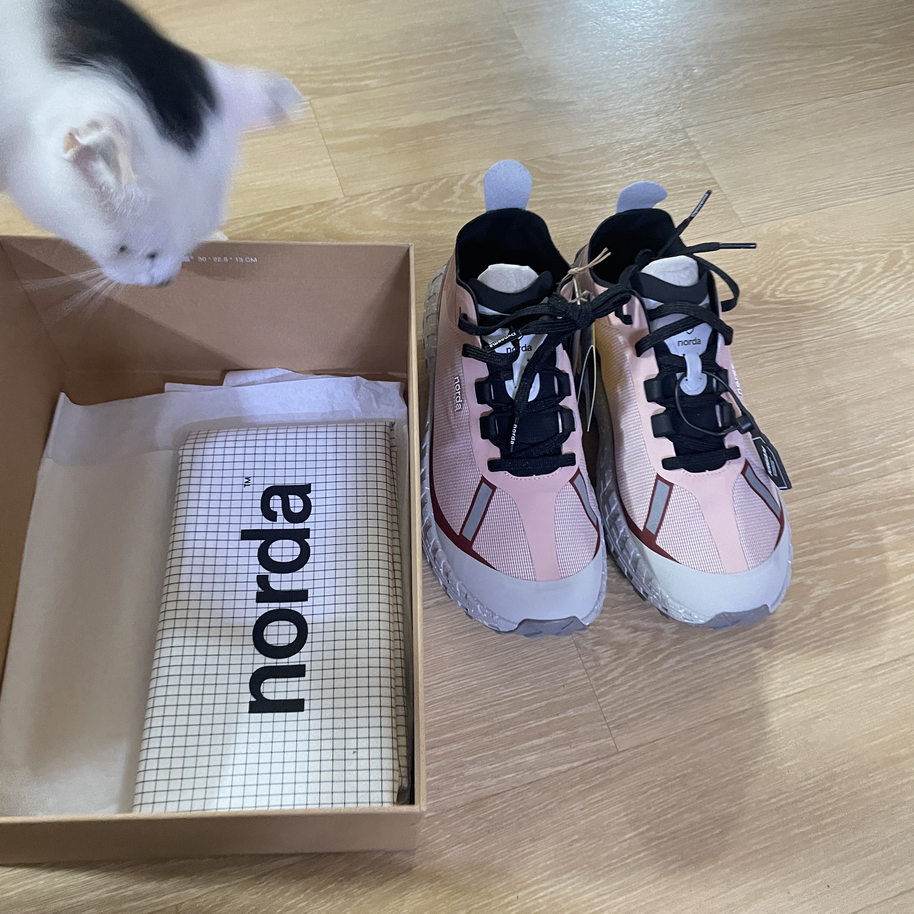 Norda 001 LTD Edition Axolotl 착용 스타일 - 3