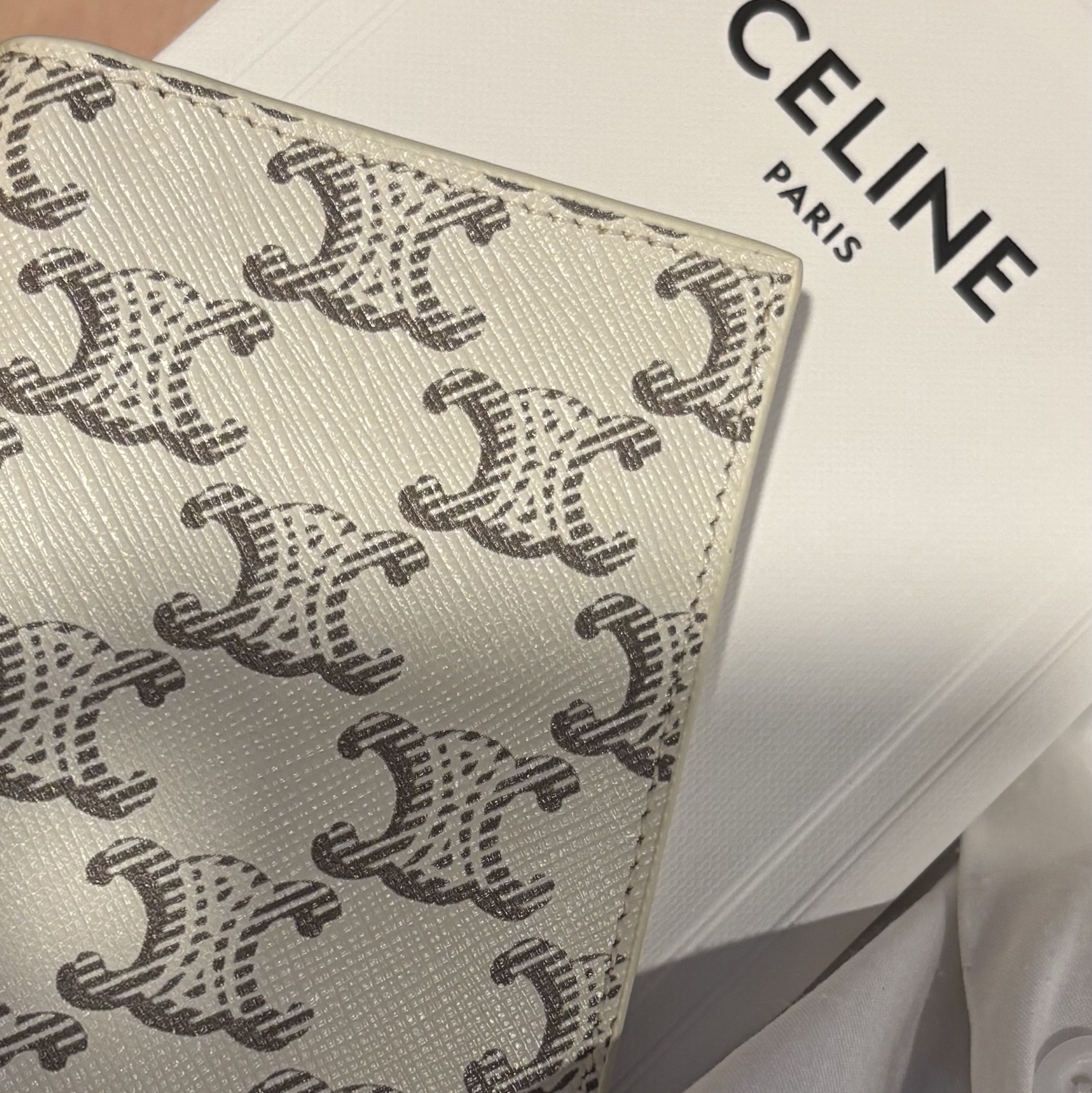 Celine Vertical Card Holder in Triomphe Canvas Tan Ecru 착용 스타일